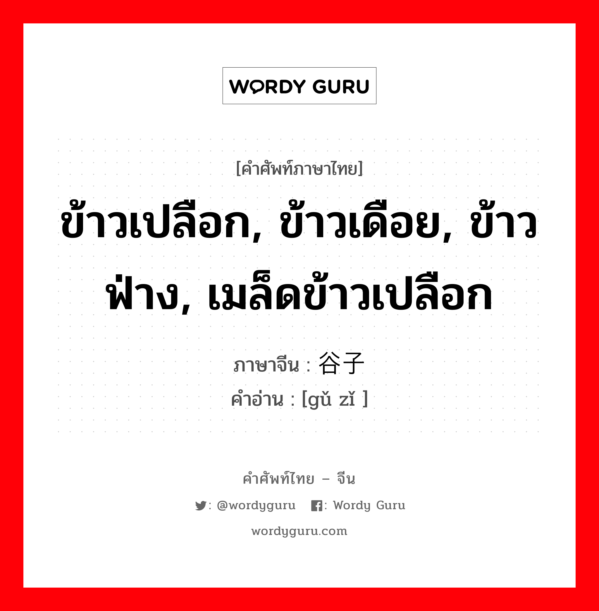 ข้าวเปลือก, ข้าวเดือย, ข้าวฟ่าง, เมล็ดข้าวเปลือก ภาษาจีนคืออะไร, คำศัพท์ภาษาไทย - จีน ข้าวเปลือก, ข้าวเดือย, ข้าวฟ่าง, เมล็ดข้าวเปลือก ภาษาจีน 谷子 คำอ่าน [gǔ zǐ ]