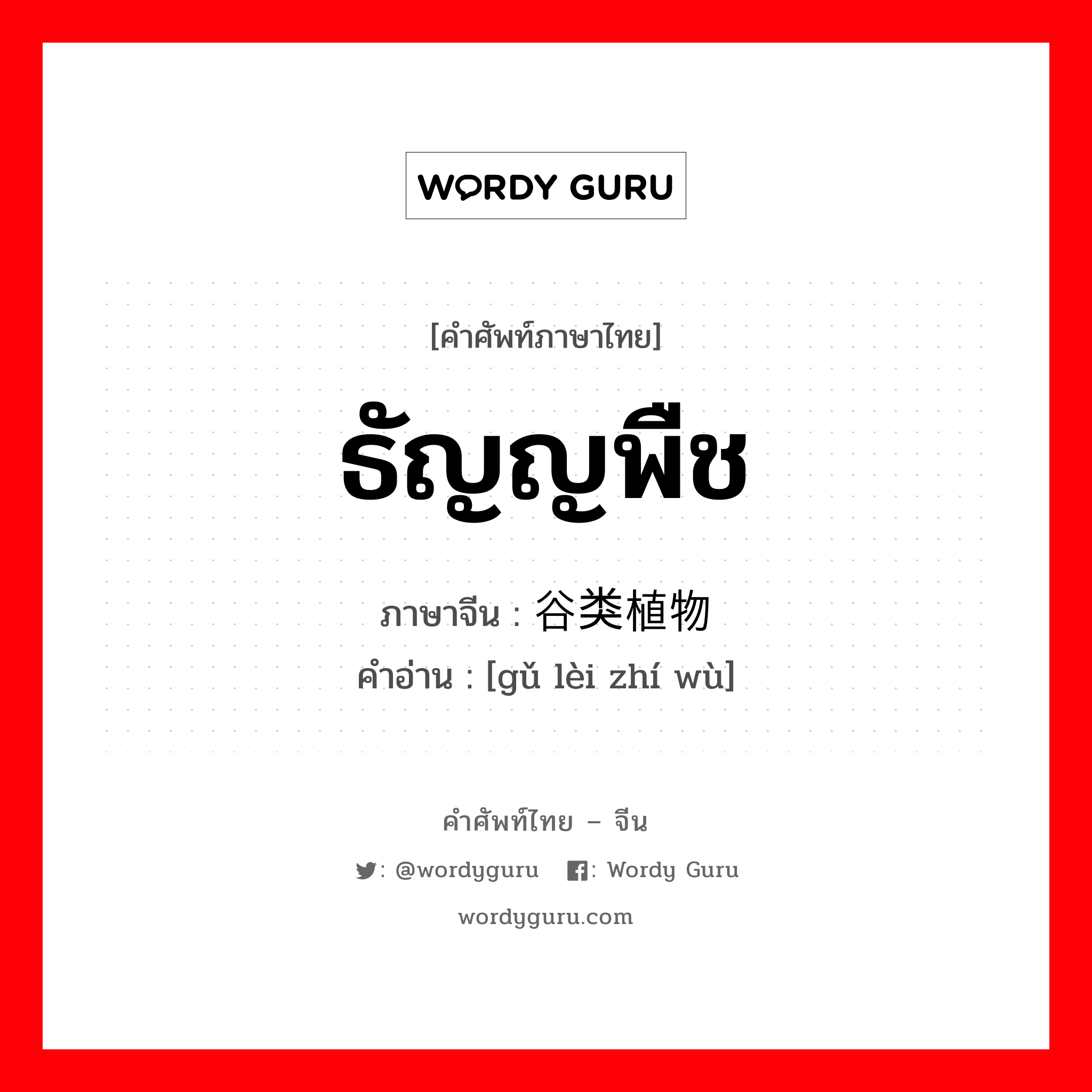 ธัญญพืช ภาษาจีนคืออะไร, คำศัพท์ภาษาไทย - จีน ธัญญพืช ภาษาจีน 谷类植物 คำอ่าน [gǔ lèi zhí wù]