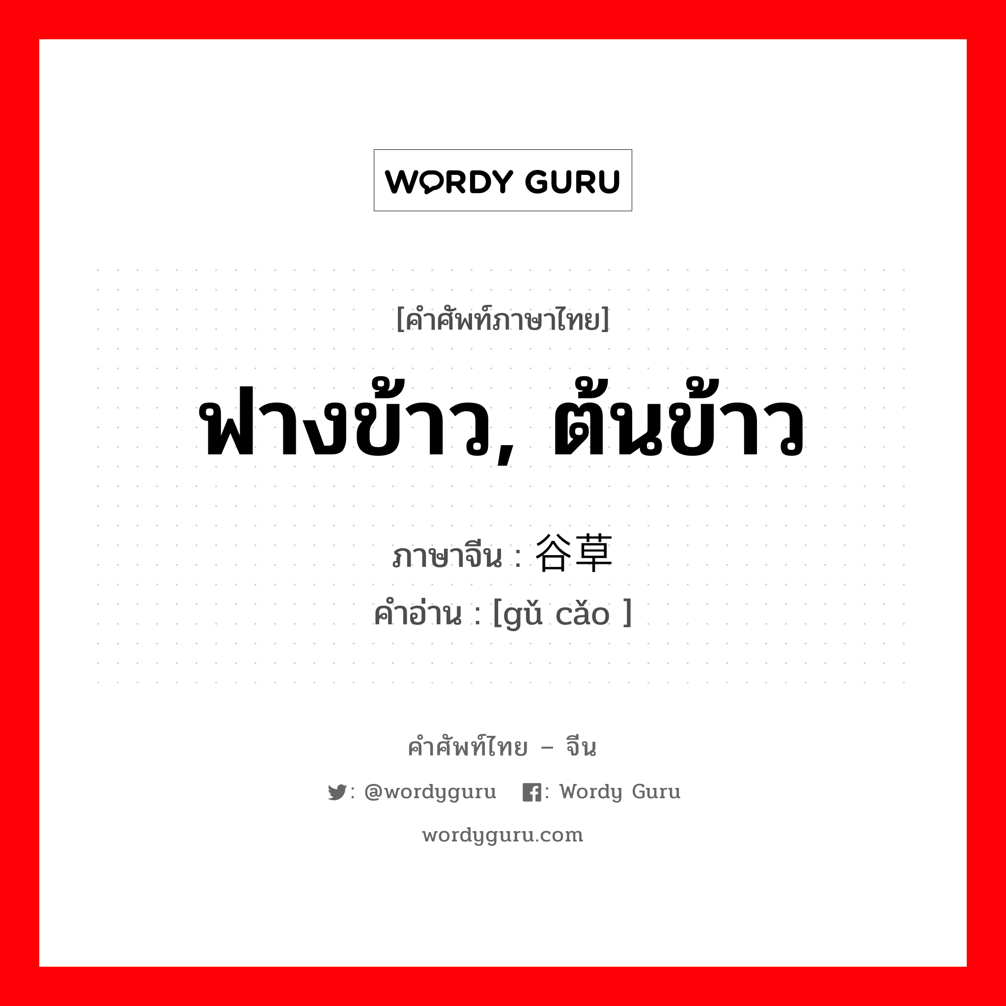 ฟางข้าว, ต้นข้าว ภาษาจีนคืออะไร, คำศัพท์ภาษาไทย - จีน ฟางข้าว, ต้นข้าว ภาษาจีน 谷草 คำอ่าน [gǔ cǎo ]