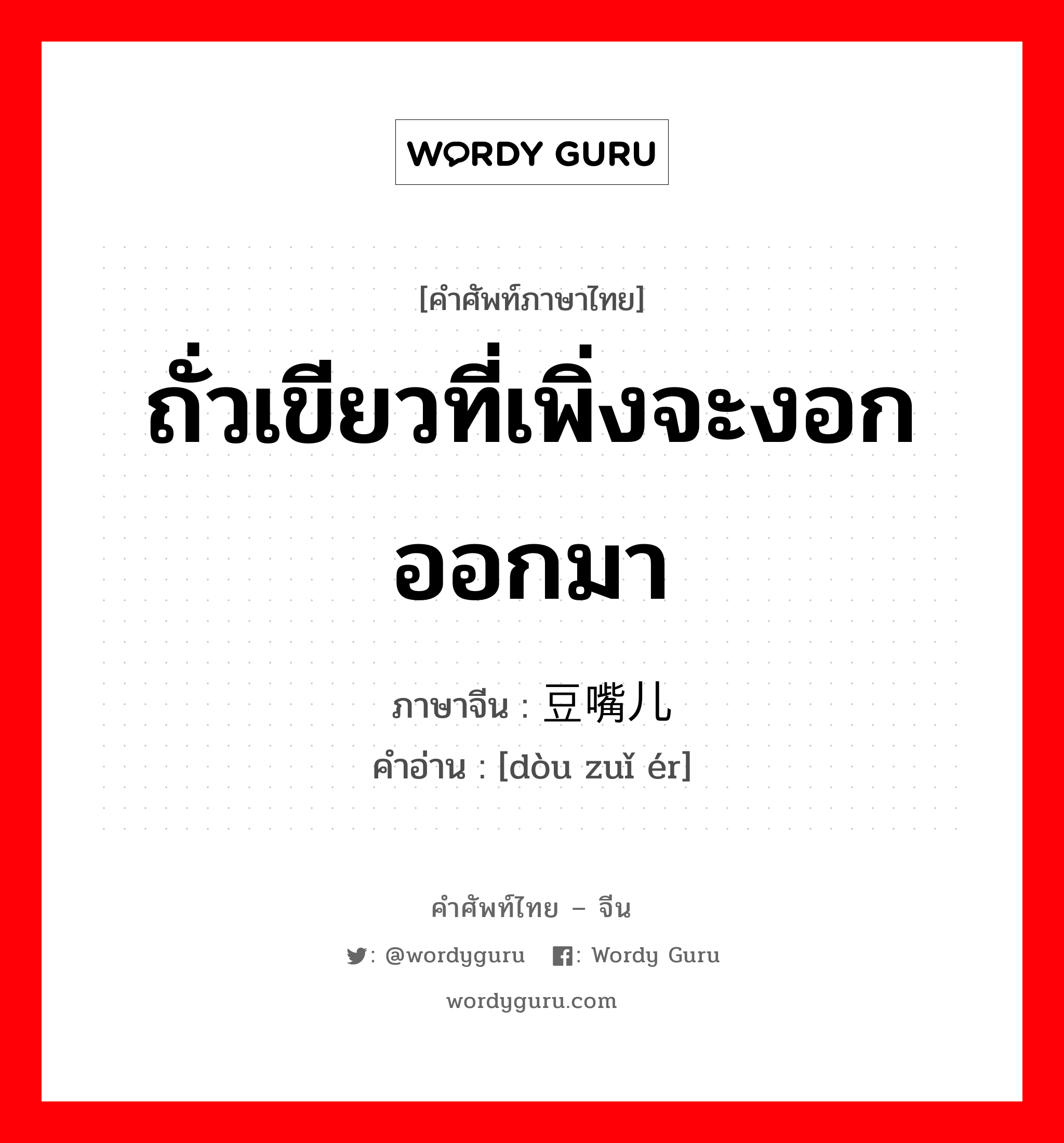 ถั่วเขียวที่เพิ่งจะงอกออกมา ภาษาจีนคืออะไร, คำศัพท์ภาษาไทย - จีน ถั่วเขียวที่เพิ่งจะงอกออกมา ภาษาจีน 豆嘴儿 คำอ่าน [dòu zuǐ ér]