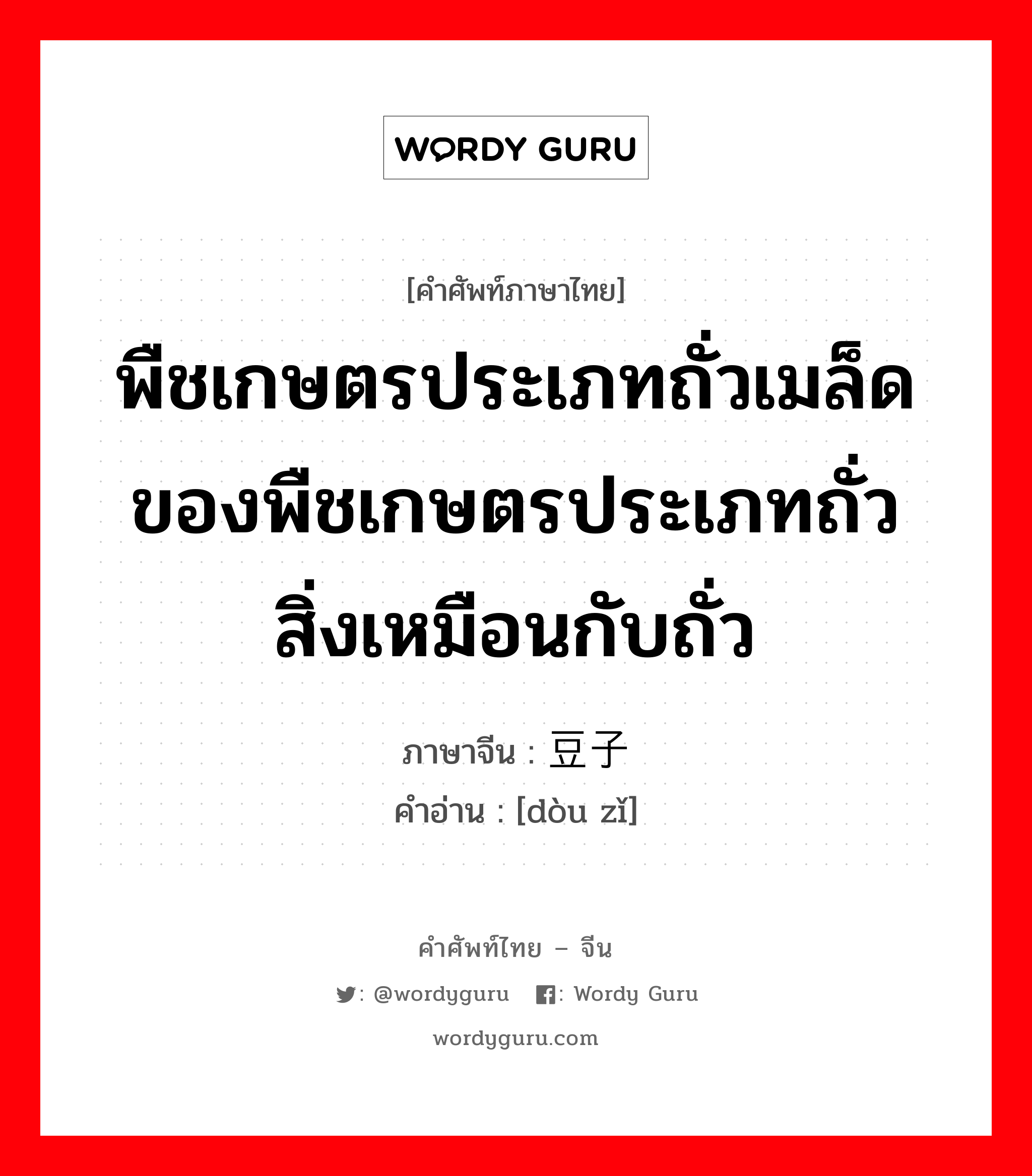 พืชเกษตรประเภทถั่วเมล็ดของพืชเกษตรประเภทถั่วสิ่งเหมือนกับถั่ว ภาษาจีนคืออะไร, คำศัพท์ภาษาไทย - จีน พืชเกษตรประเภทถั่วเมล็ดของพืชเกษตรประเภทถั่วสิ่งเหมือนกับถั่ว ภาษาจีน 豆子 คำอ่าน [dòu zǐ]