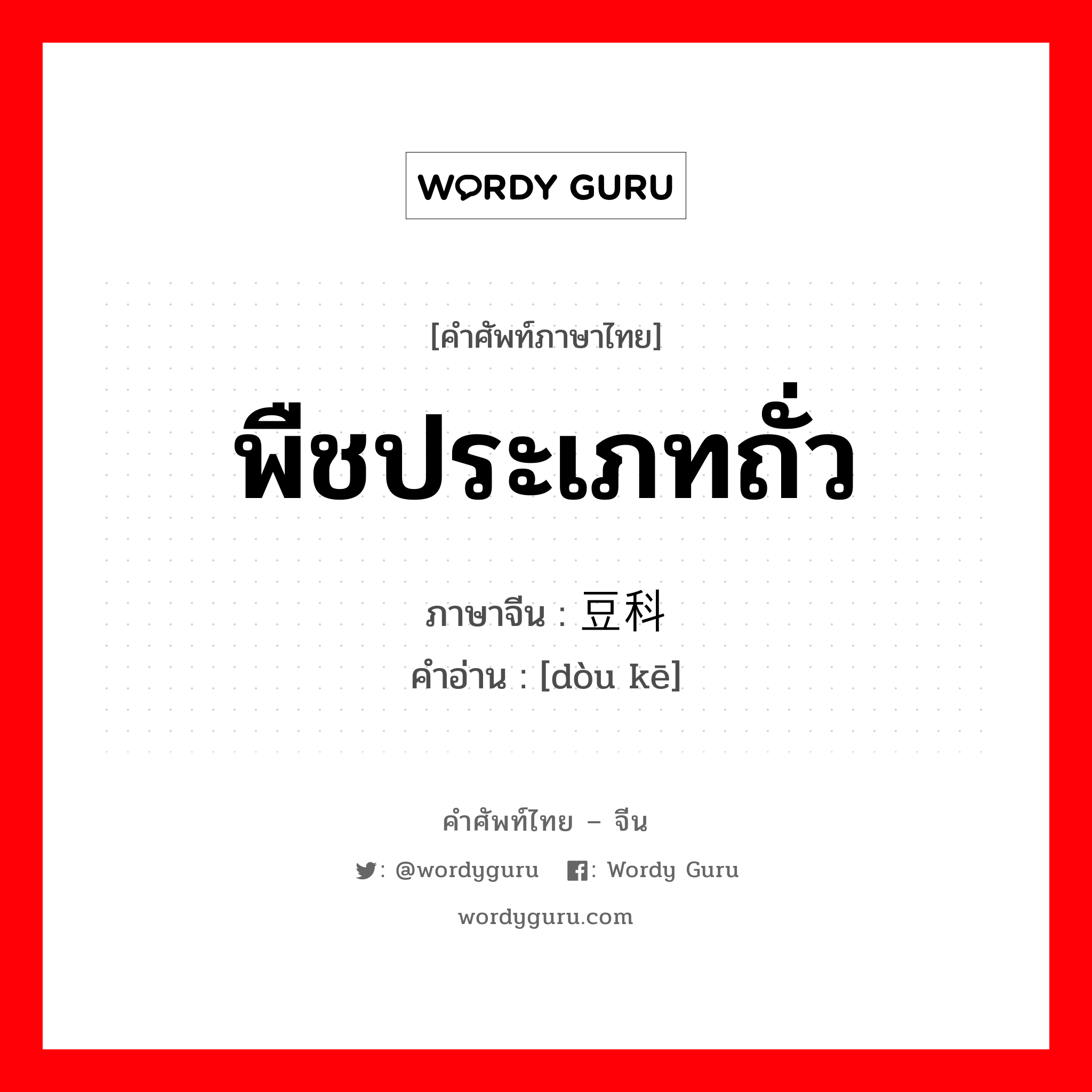 พืชประเภทถั่ว ภาษาจีนคืออะไร, คำศัพท์ภาษาไทย - จีน พืชประเภทถั่ว ภาษาจีน 豆科 คำอ่าน [dòu kē]