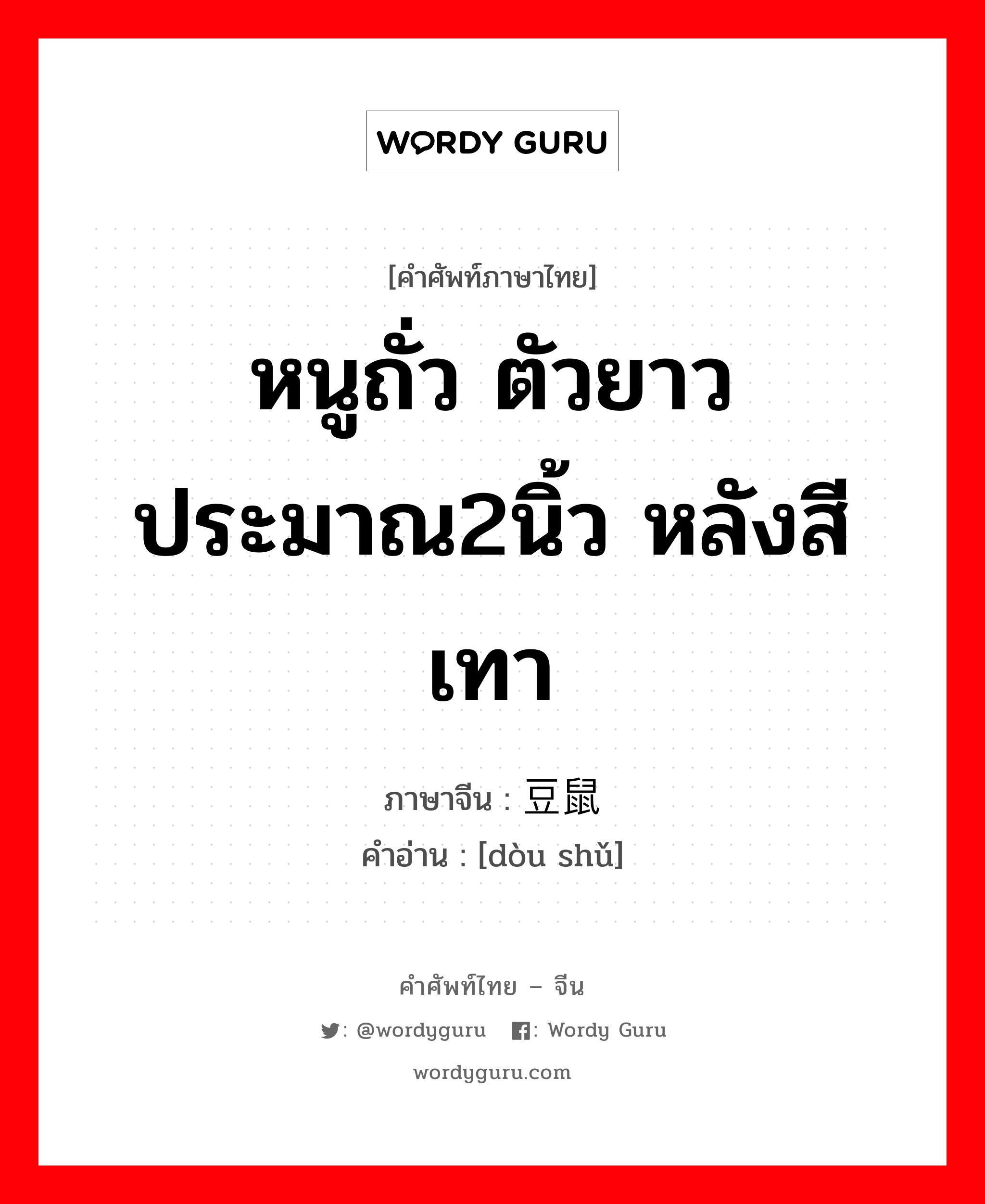 หนูถั่ว ตัวยาวประมาณ2นิ้ว หลังสีเทา ภาษาจีนคืออะไร, คำศัพท์ภาษาไทย - จีน หนูถั่ว ตัวยาวประมาณ2นิ้ว หลังสีเทา ภาษาจีน 豆鼠 คำอ่าน [dòu shǔ]