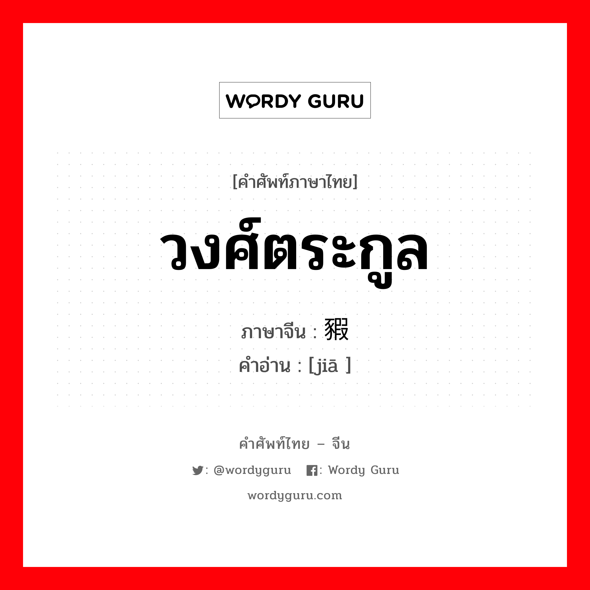 วงศ์ตระกูล ภาษาจีนคืออะไร, คำศัพท์ภาษาไทย - จีน วงศ์ตระกูล ภาษาจีน 豭 คำอ่าน [jiā ]