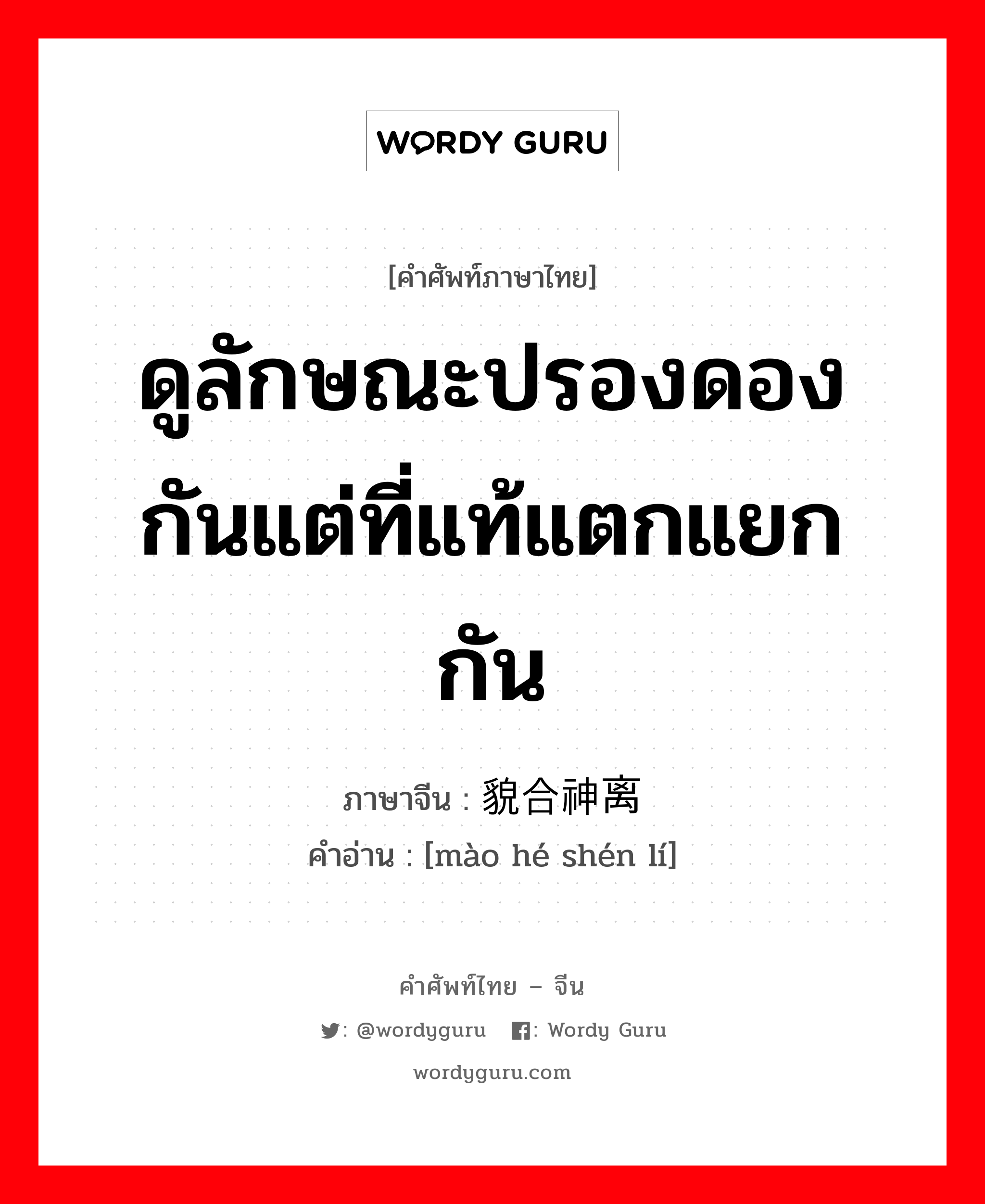 ดูลักษณะปรองดองกันแต่ที่แท้แตกแยกกัน ภาษาจีนคืออะไร, คำศัพท์ภาษาไทย - จีน ดูลักษณะปรองดองกันแต่ที่แท้แตกแยกกัน ภาษาจีน 貌合神离 คำอ่าน [mào hé shén lí]