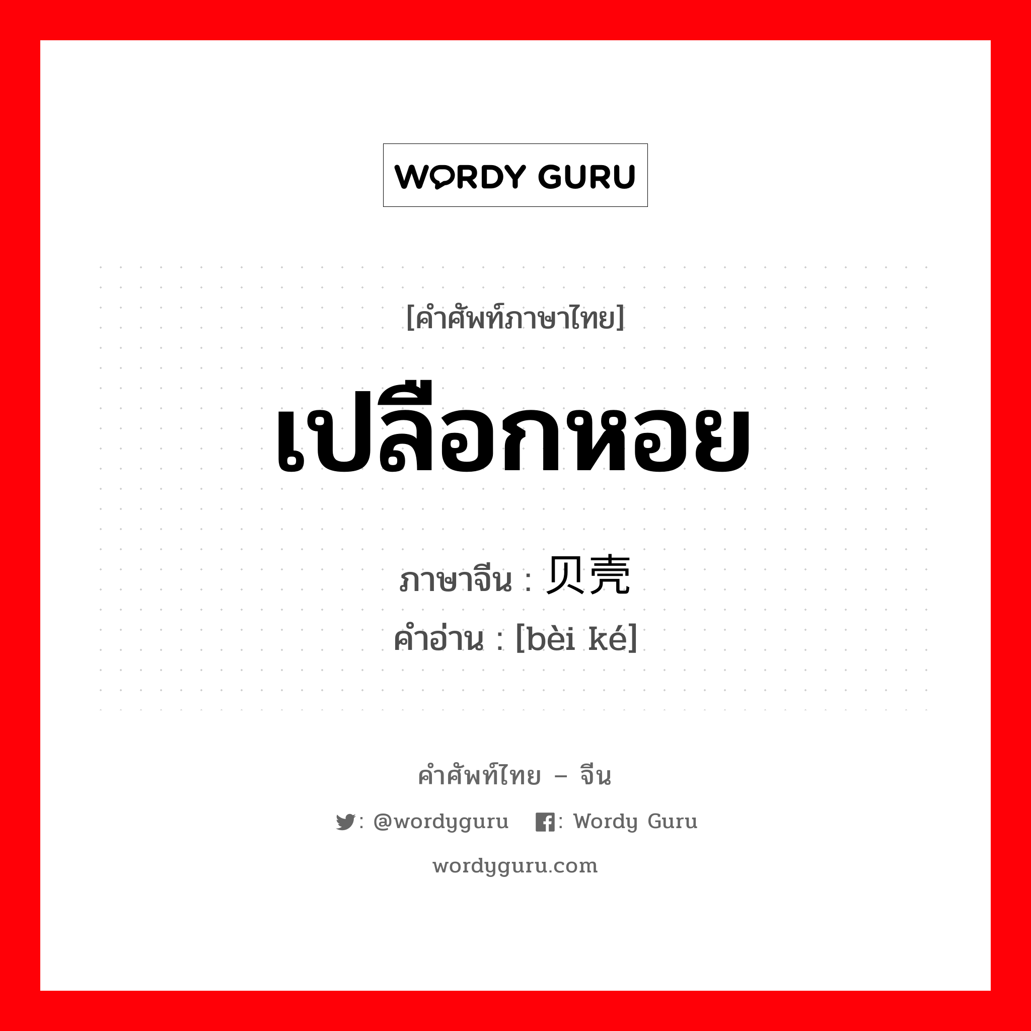 เปลือกหอย ภาษาจีนคืออะไร, คำศัพท์ภาษาไทย - จีน เปลือกหอย ภาษาจีน 贝壳 คำอ่าน [bèi ké]