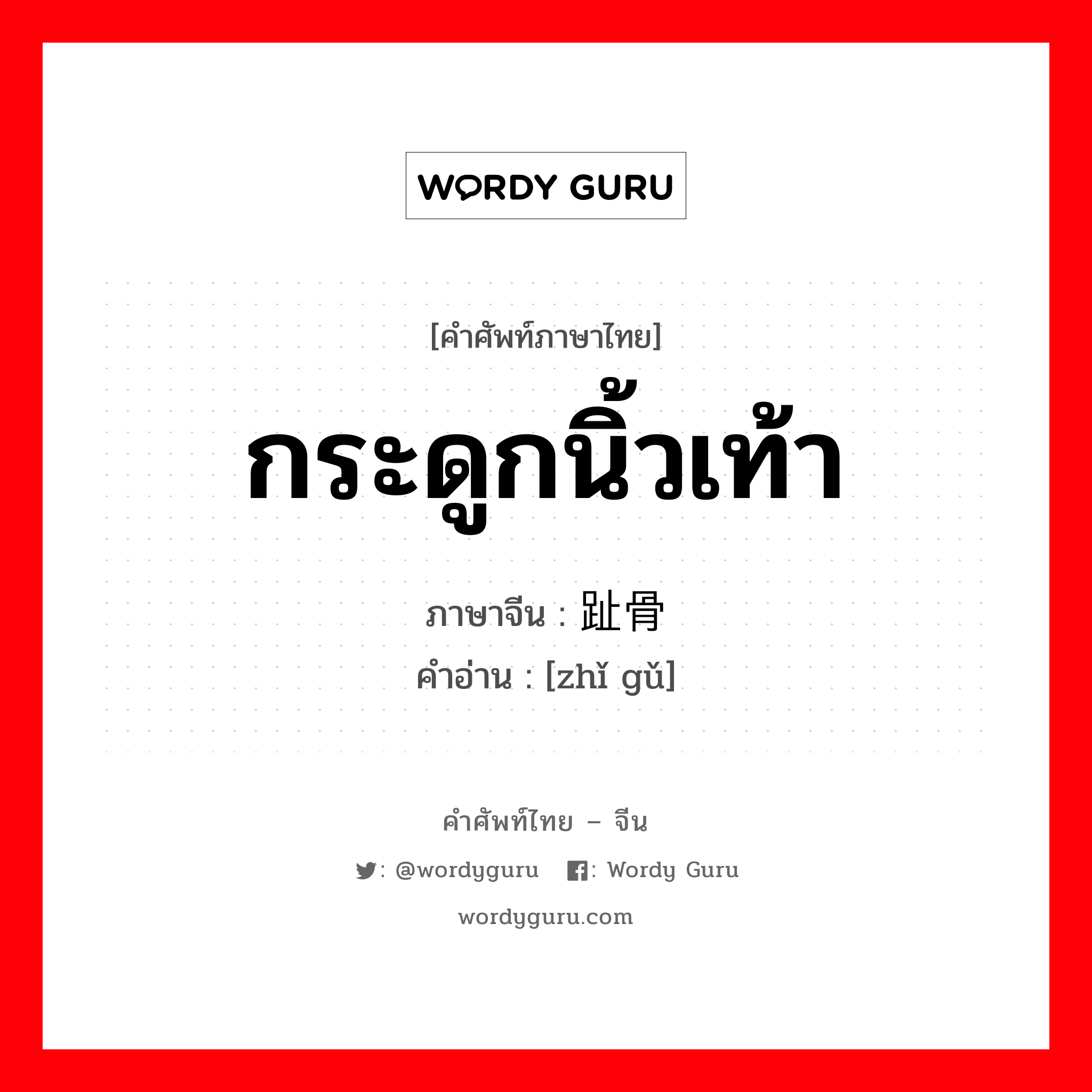 กระดูกนิ้วเท้า ภาษาจีนคืออะไร, คำศัพท์ภาษาไทย - จีน กระดูกนิ้วเท้า ภาษาจีน 趾骨 คำอ่าน [zhǐ gǔ]