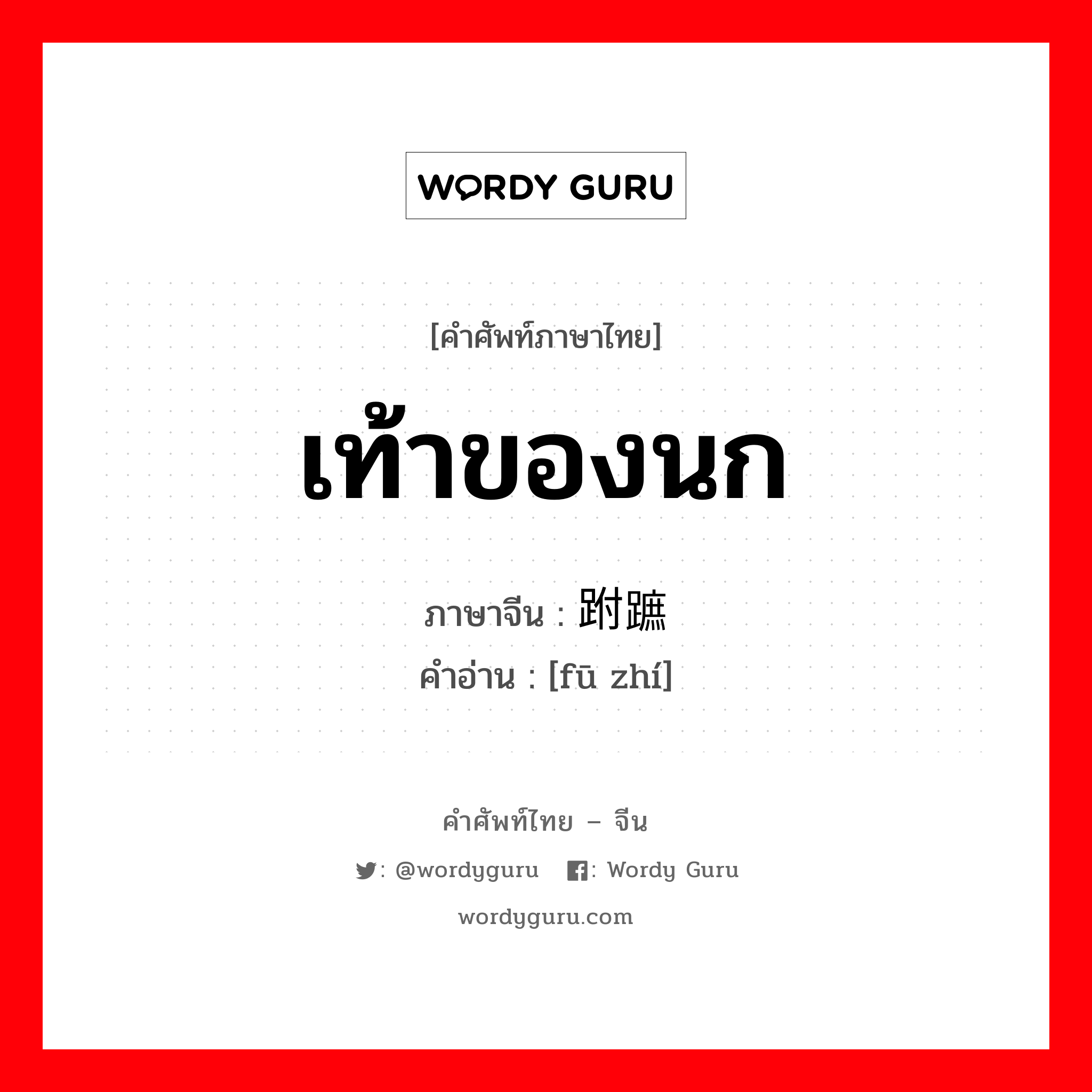 เท้าของนก ภาษาจีนคืออะไร, คำศัพท์ภาษาไทย - จีน เท้าของนก ภาษาจีน 跗蹠 คำอ่าน [fū zhí]