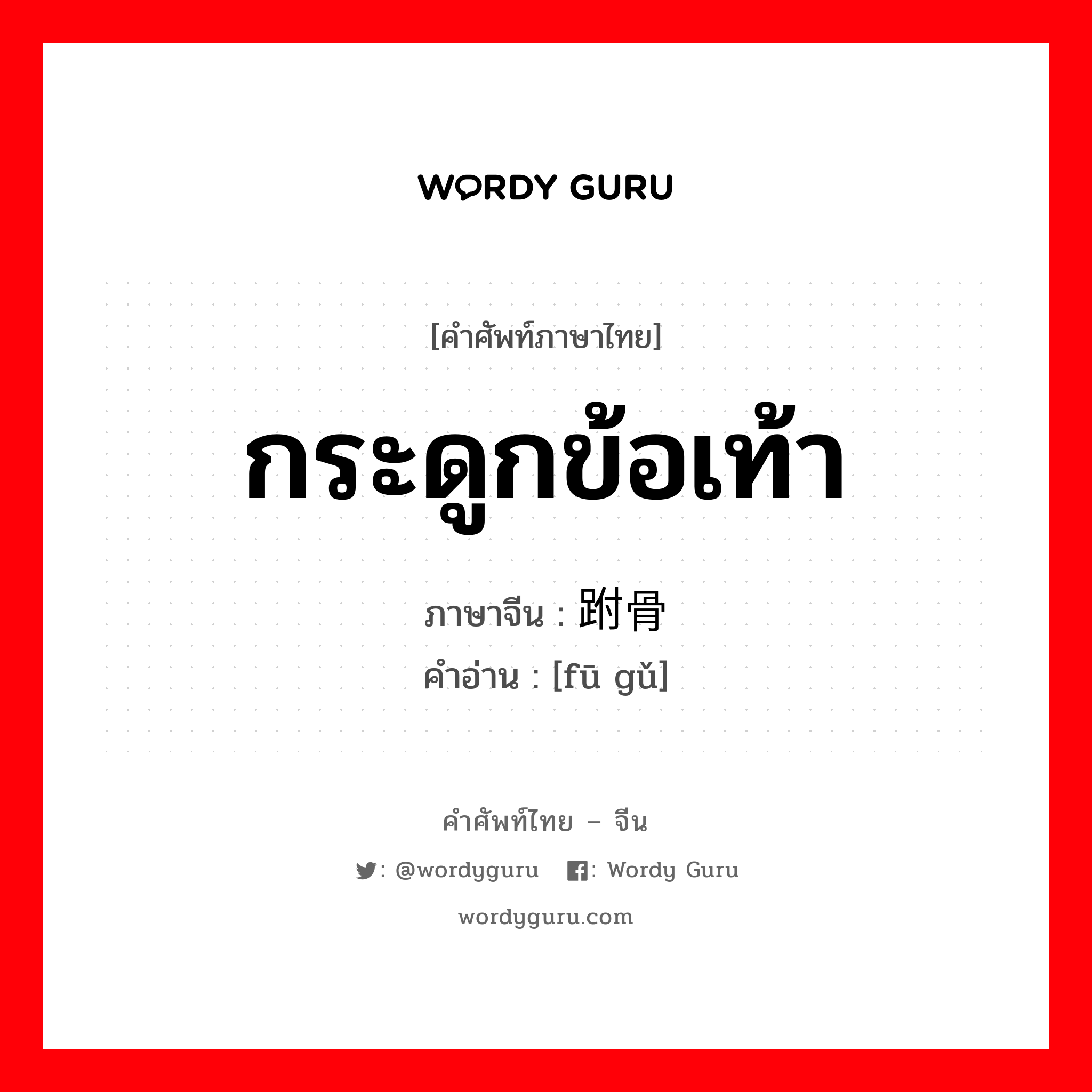 กระดูกข้อเท้า ภาษาจีนคืออะไร, คำศัพท์ภาษาไทย - จีน กระดูกข้อเท้า ภาษาจีน 跗骨 คำอ่าน [fū gǔ]