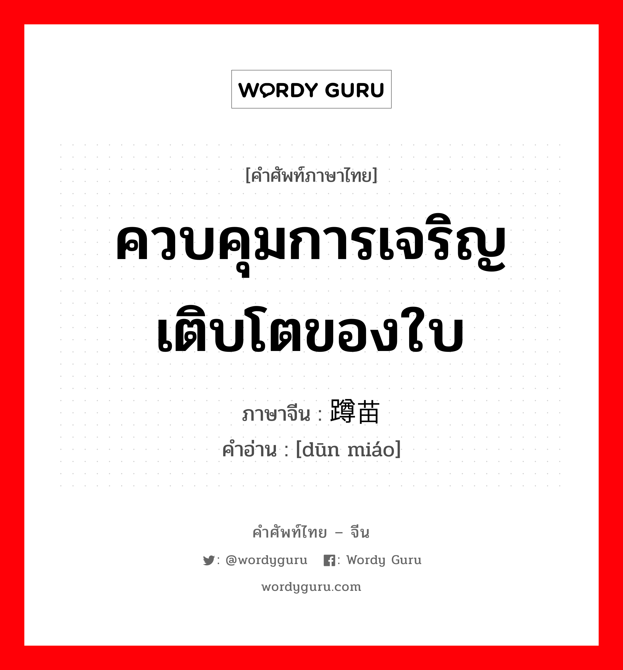 ควบคุมการเจริญเติบโตของใบ ภาษาจีนคืออะไร, คำศัพท์ภาษาไทย - จีน ควบคุมการเจริญเติบโตของใบ ภาษาจีน 蹲苗 คำอ่าน [dūn miáo]