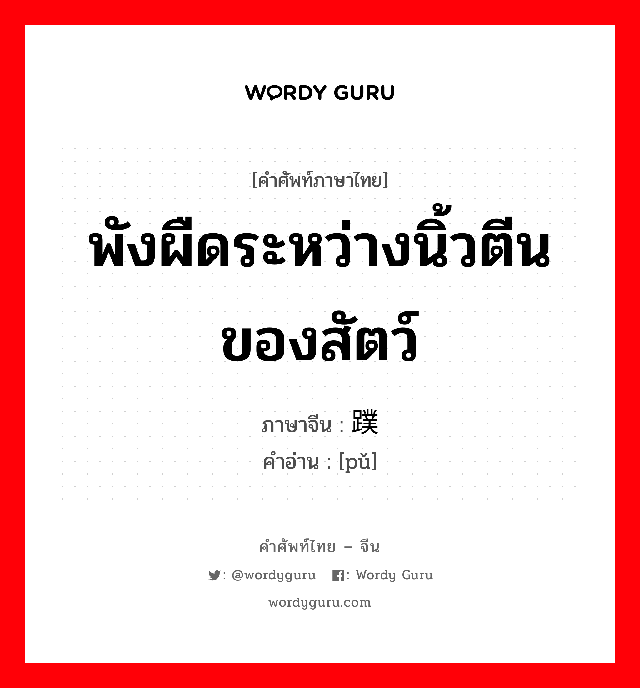 พังผืดระหว่างนิ้วตีนของสัตว์ ภาษาจีนคืออะไร, คำศัพท์ภาษาไทย - จีน พังผืดระหว่างนิ้วตีนของสัตว์ ภาษาจีน 蹼 คำอ่าน [pǔ]