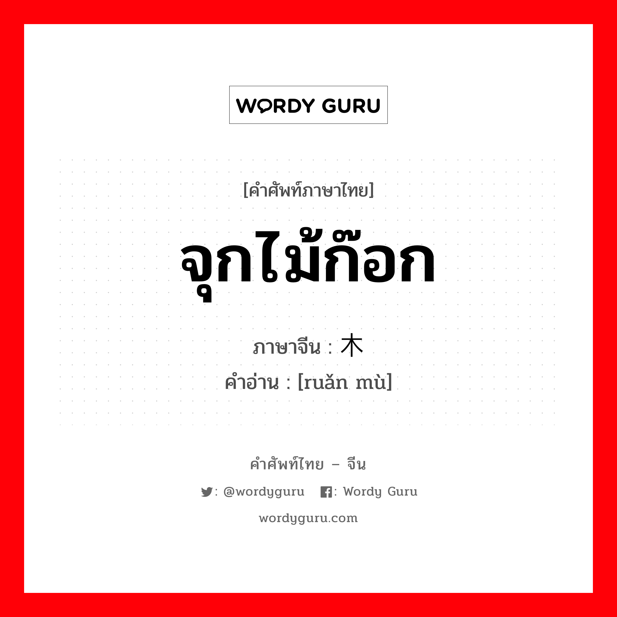 จุกไม้ก๊อก ภาษาจีนคืออะไร, คำศัพท์ภาษาไทย - จีน จุกไม้ก๊อก ภาษาจีน 软木 คำอ่าน [ruǎn mù]