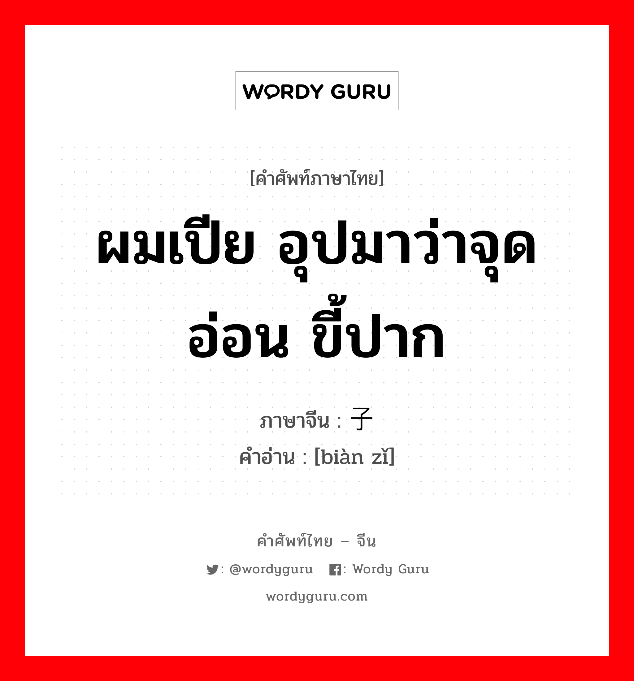 ผมเปีย อุปมาว่าจุดอ่อน ขี้ปาก ภาษาจีนคืออะไร, คำศัพท์ภาษาไทย - จีน ผมเปีย อุปมาว่าจุดอ่อน ขี้ปาก ภาษาจีน 辫子 คำอ่าน [biàn zǐ]