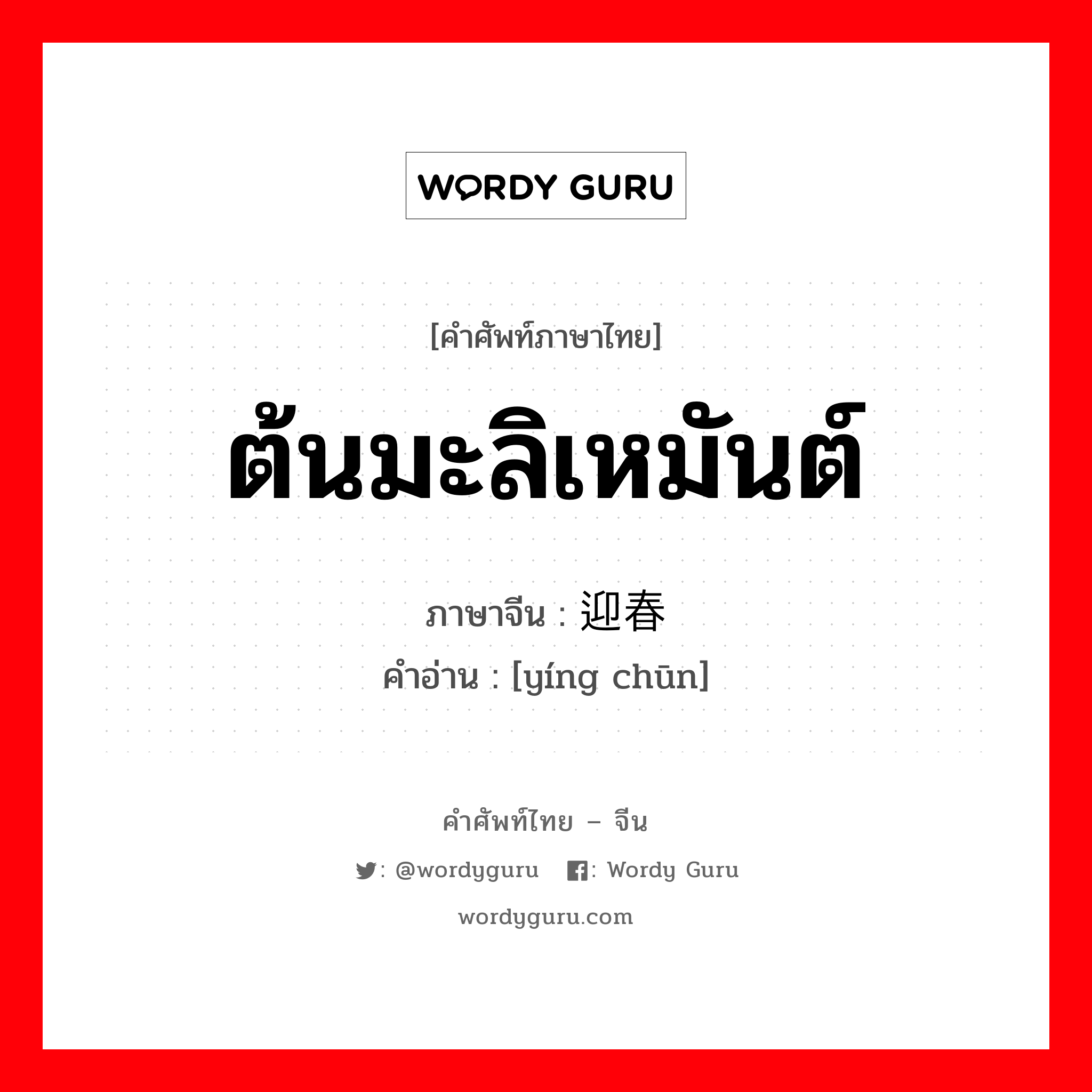 ต้นมะลิเหมันต์ ภาษาจีนคืออะไร, คำศัพท์ภาษาไทย - จีน ต้นมะลิเหมันต์ ภาษาจีน 迎春 คำอ่าน [yíng chūn]