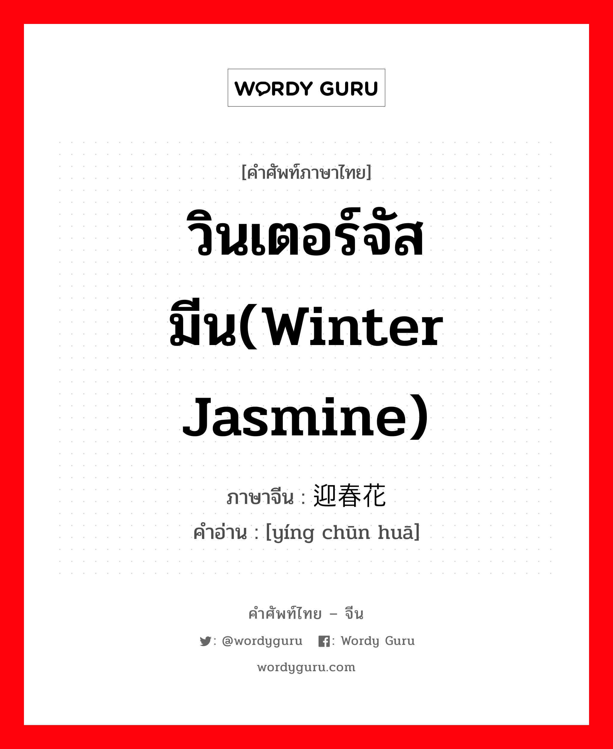 วินเตอร์จัสมีน(winter jasmine) ภาษาจีนคืออะไร, คำศัพท์ภาษาไทย - จีน วินเตอร์จัสมีน(winter jasmine) ภาษาจีน 迎春花 คำอ่าน [yíng chūn huā]