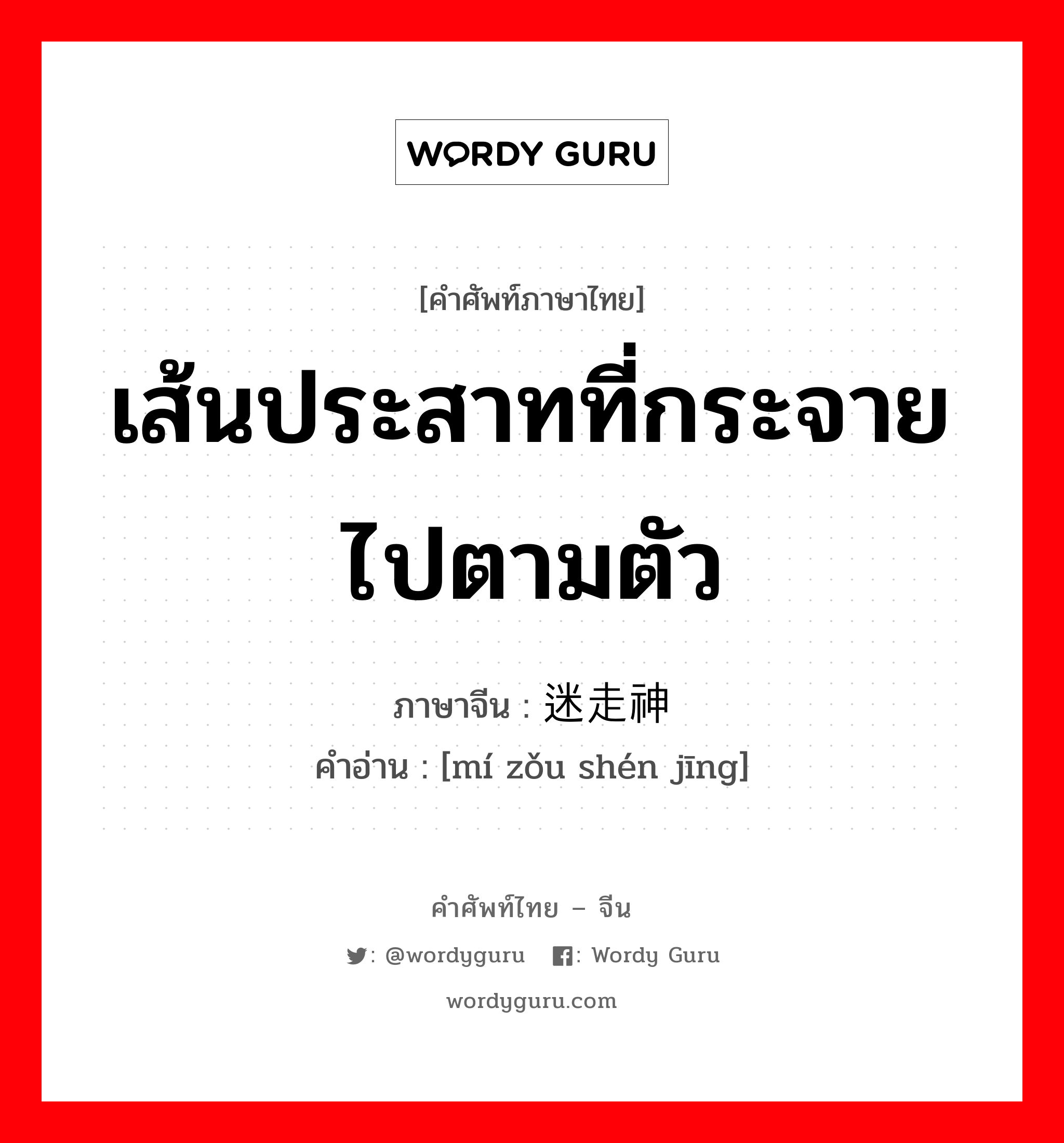 เส้นประสาทที่กระจายไปตามตัว ภาษาจีนคืออะไร, คำศัพท์ภาษาไทย - จีน เส้นประสาทที่กระจายไปตามตัว ภาษาจีน 迷走神经 คำอ่าน [mí zǒu shén jīng]