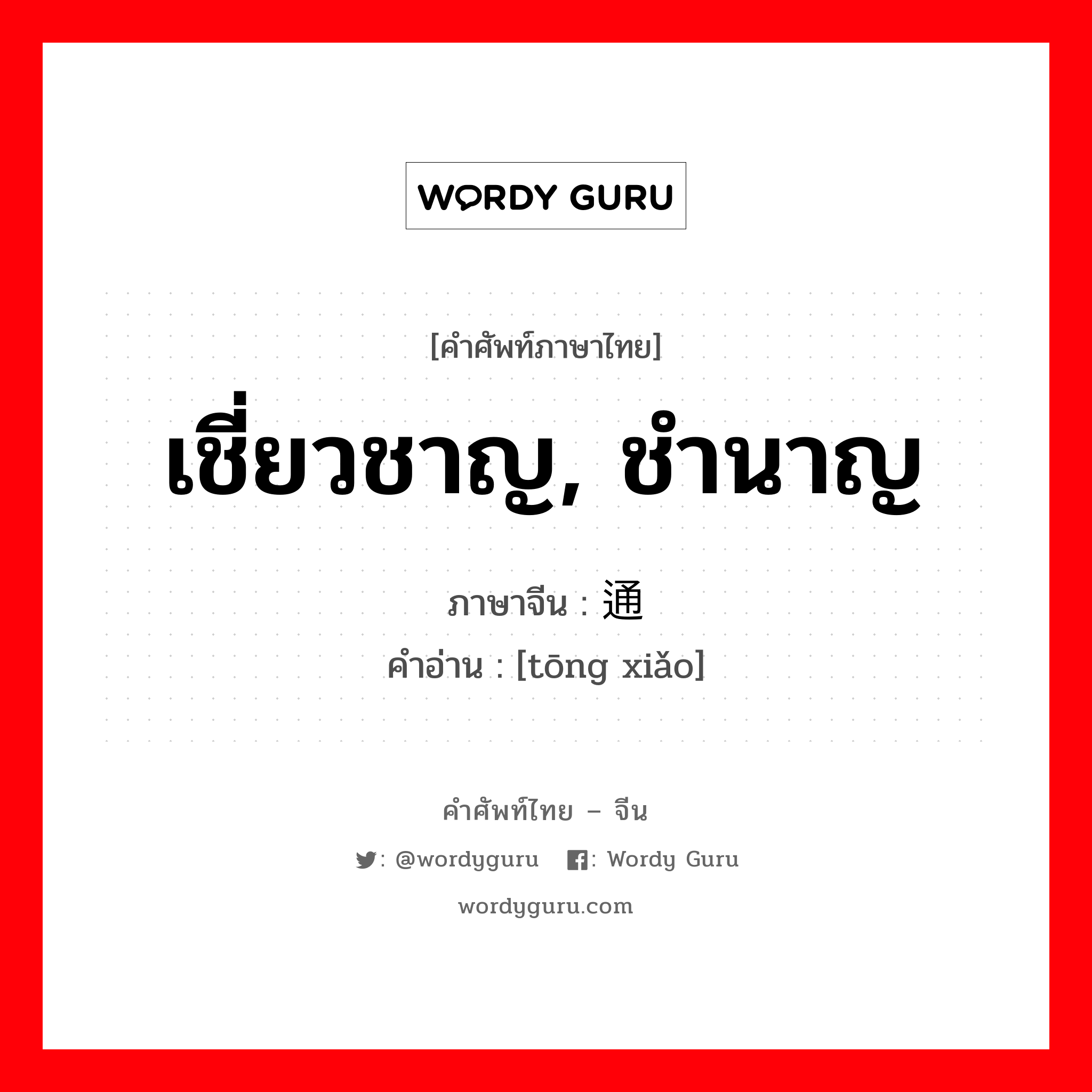 เชี่ยวชาญ ชำนาญ ภาษาจีนคืออะไร, คำศัพท์ภาษาไทย - จีน เชี่ยวชาญ, ชำนาญ ภาษาจีน 通晓 คำอ่าน [tōng xiǎo]