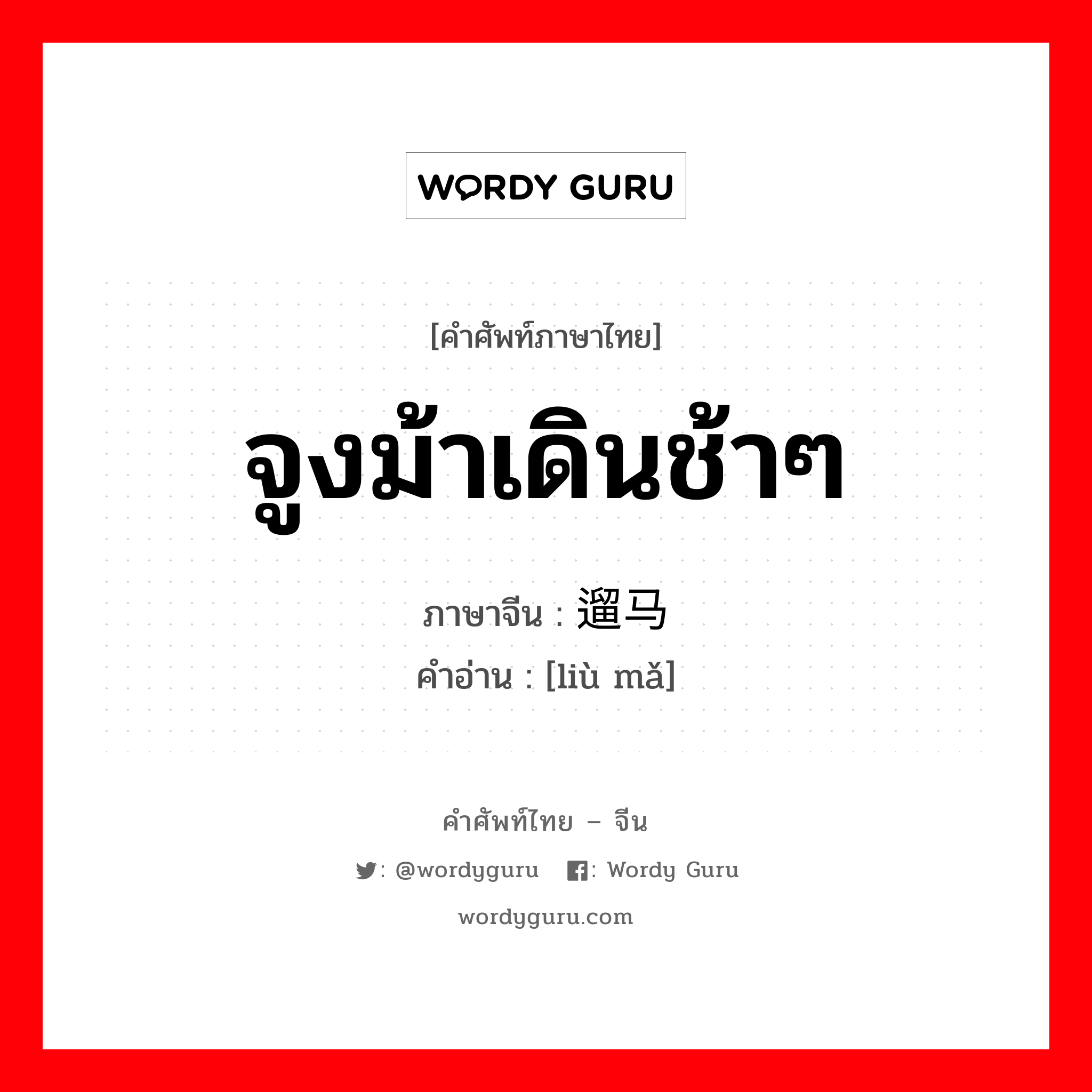 จูงม้าเดินช้าๆ ภาษาจีนคืออะไร, คำศัพท์ภาษาไทย - จีน จูงม้าเดินช้าๆ ภาษาจีน 遛马 คำอ่าน [liù mǎ]