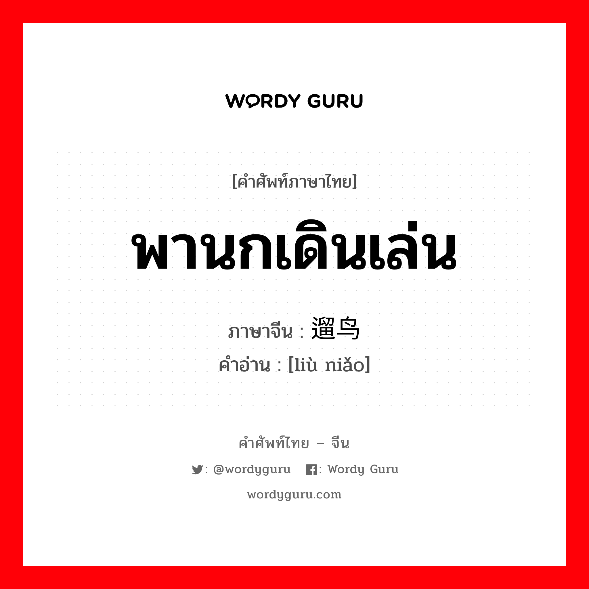 พานกเดินเล่น ภาษาจีนคืออะไร, คำศัพท์ภาษาไทย - จีน พานกเดินเล่น ภาษาจีน 遛鸟 คำอ่าน [liù niǎo]