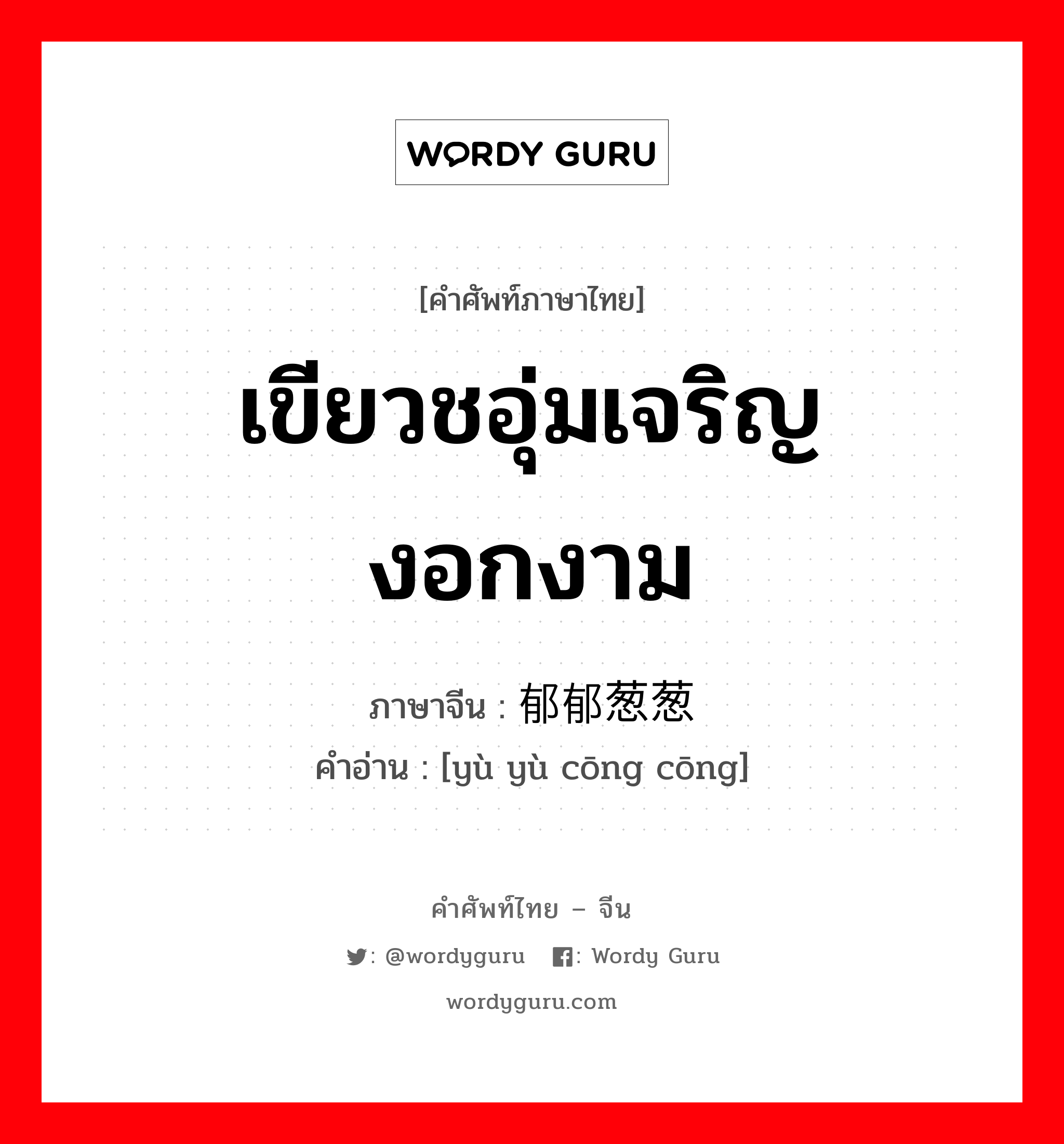 เขียวชอุ่มเจริญงอกงาม ภาษาจีนคืออะไร, คำศัพท์ภาษาไทย - จีน เขียวชอุ่มเจริญงอกงาม ภาษาจีน 郁郁葱葱 คำอ่าน [yù yù cōng cōng]