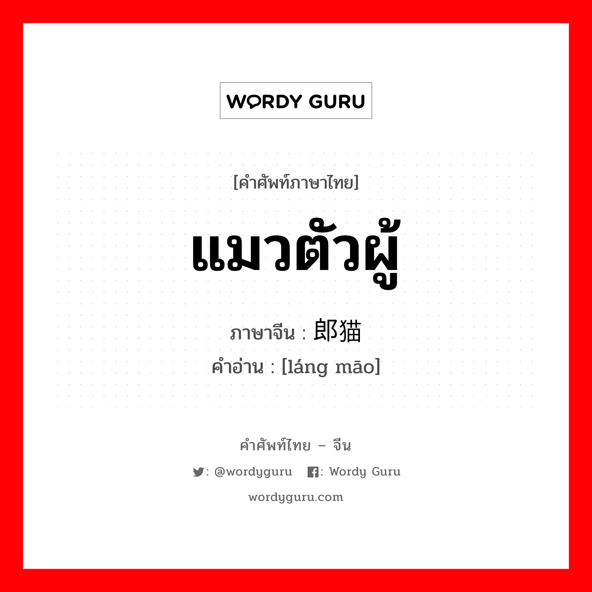 แมวตัวผู้ ภาษาจีนคืออะไร, คำศัพท์ภาษาไทย - จีน แมวตัวผู้ ภาษาจีน 郎猫 คำอ่าน [láng māo]