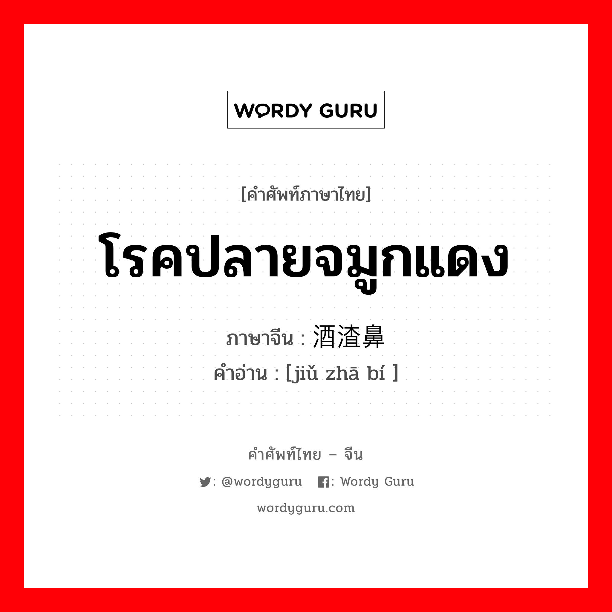 โรคปลายจมูกแดง ภาษาจีนคืออะไร, คำศัพท์ภาษาไทย - จีน โรคปลายจมูกแดง ภาษาจีน 酒渣鼻 คำอ่าน [jiǔ zhā bí ]