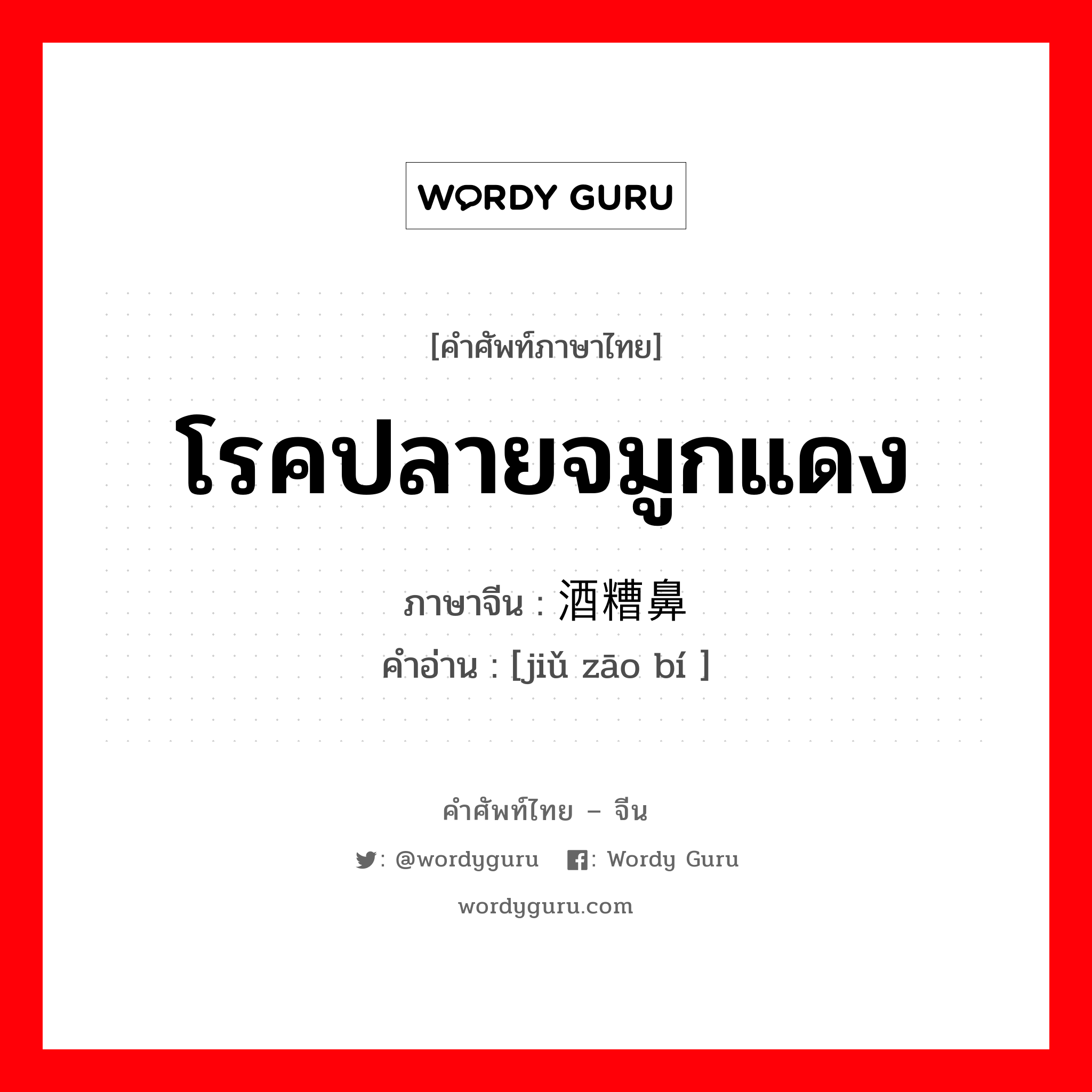 โรคปลายจมูกแดง ภาษาจีนคืออะไร, คำศัพท์ภาษาไทย - จีน โรคปลายจมูกแดง ภาษาจีน 酒糟鼻 คำอ่าน [jiǔ zāo bí ]