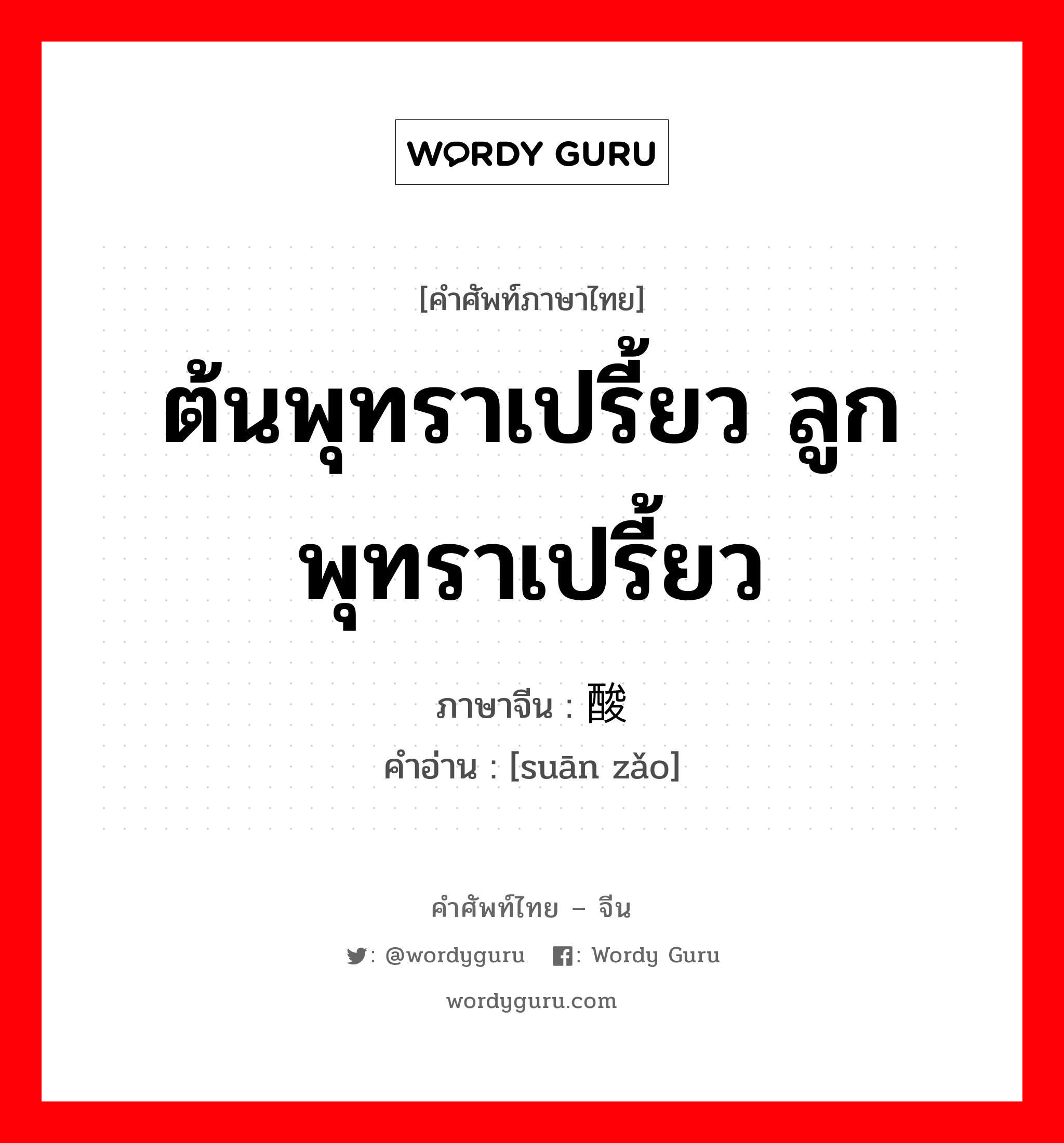 ต้นพุทราเปรี้ยว ลูกพุทราเปรี้ยว ภาษาจีนคืออะไร, คำศัพท์ภาษาไทย - จีน ต้นพุทราเปรี้ยว ลูกพุทราเปรี้ยว ภาษาจีน 酸枣 คำอ่าน [suān zǎo]