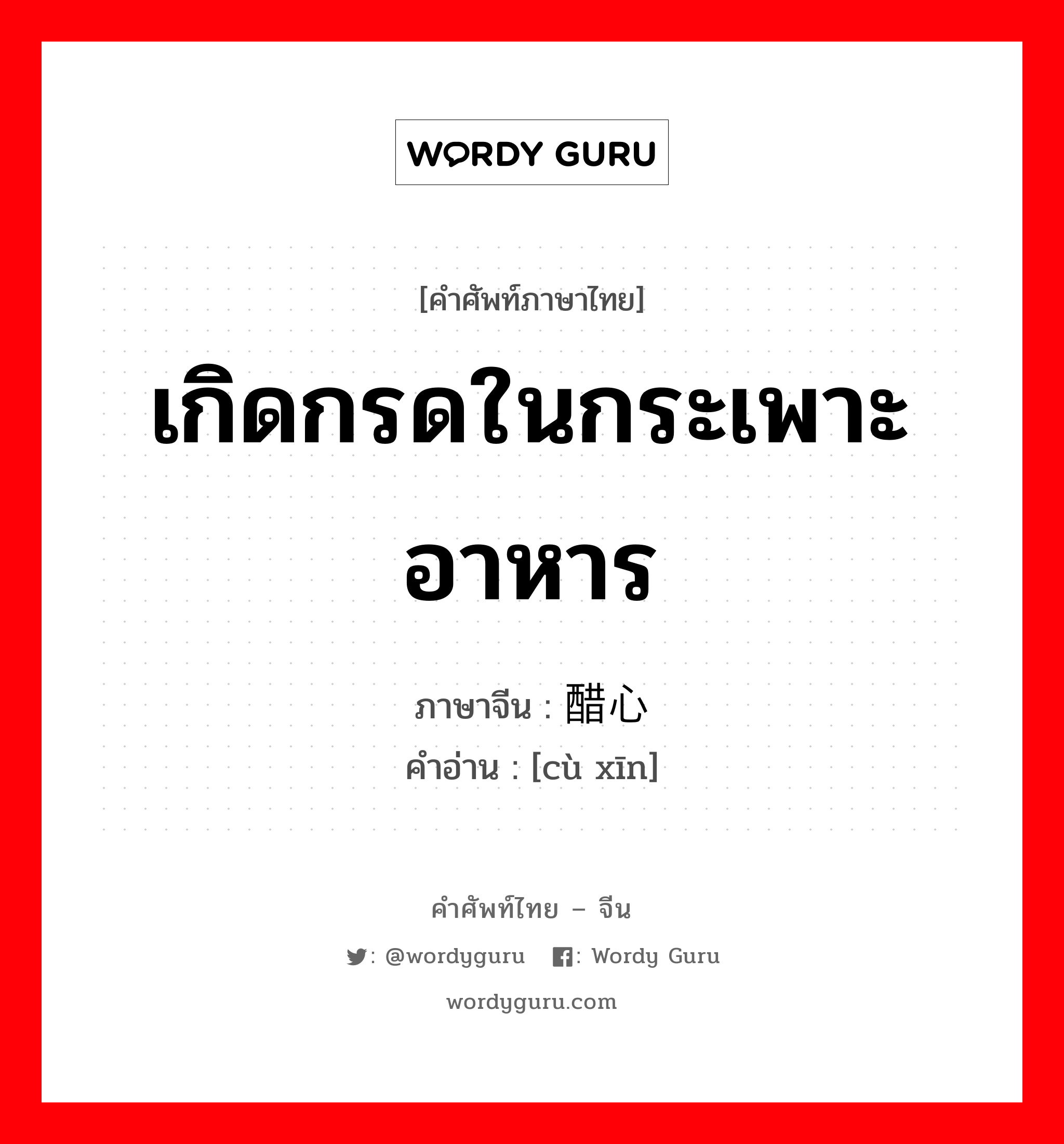 เกิดกรดในกระเพาะอาหาร ภาษาจีนคืออะไร, คำศัพท์ภาษาไทย - จีน เกิดกรดในกระเพาะอาหาร ภาษาจีน 醋心 คำอ่าน [cù xīn]