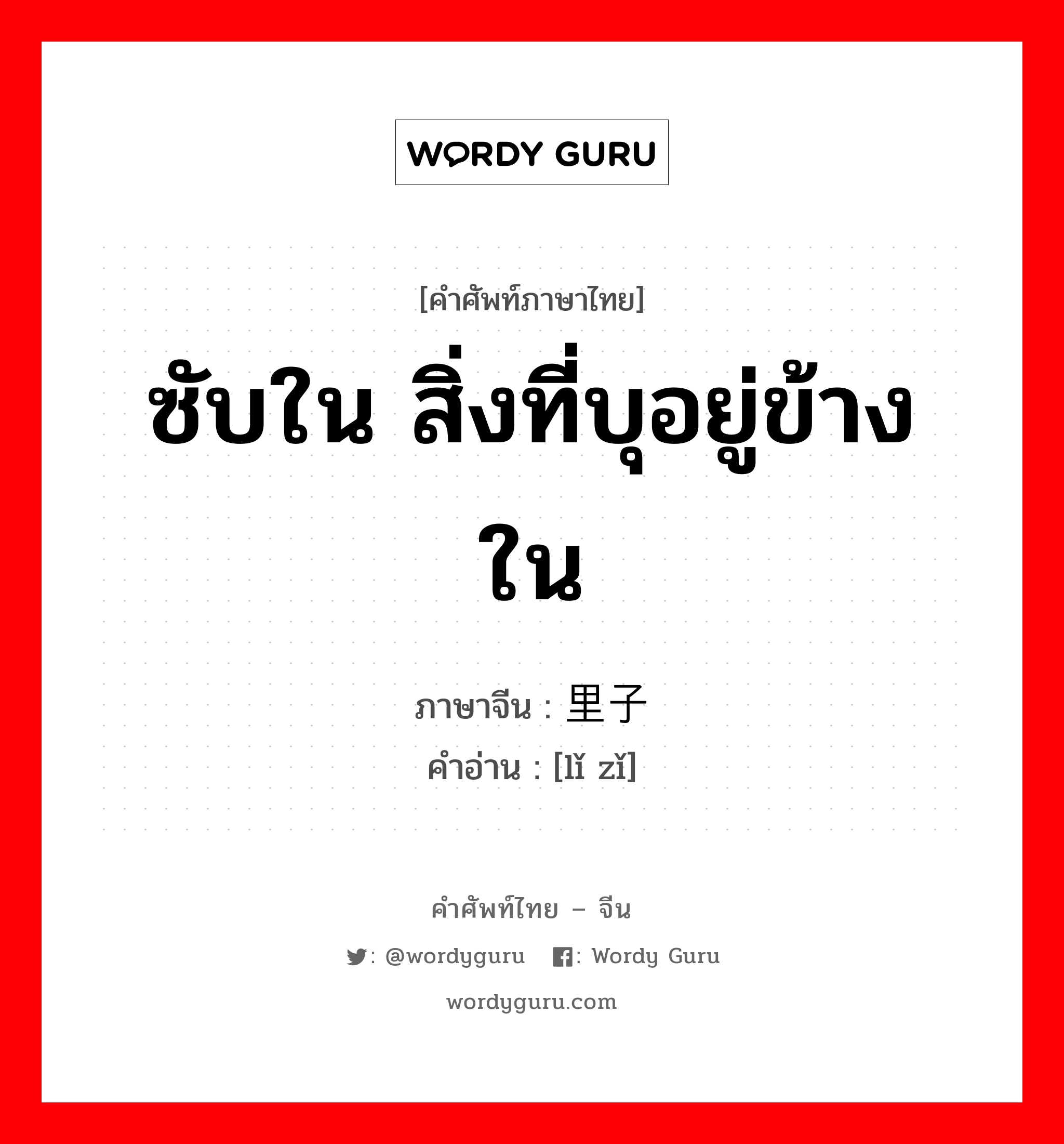 ซับใน สิ่งที่บุอยู่ข้างใน ภาษาจีนคืออะไร, คำศัพท์ภาษาไทย - จีน ซับใน สิ่งที่บุอยู่ข้างใน ภาษาจีน 里子 คำอ่าน [lǐ zǐ]