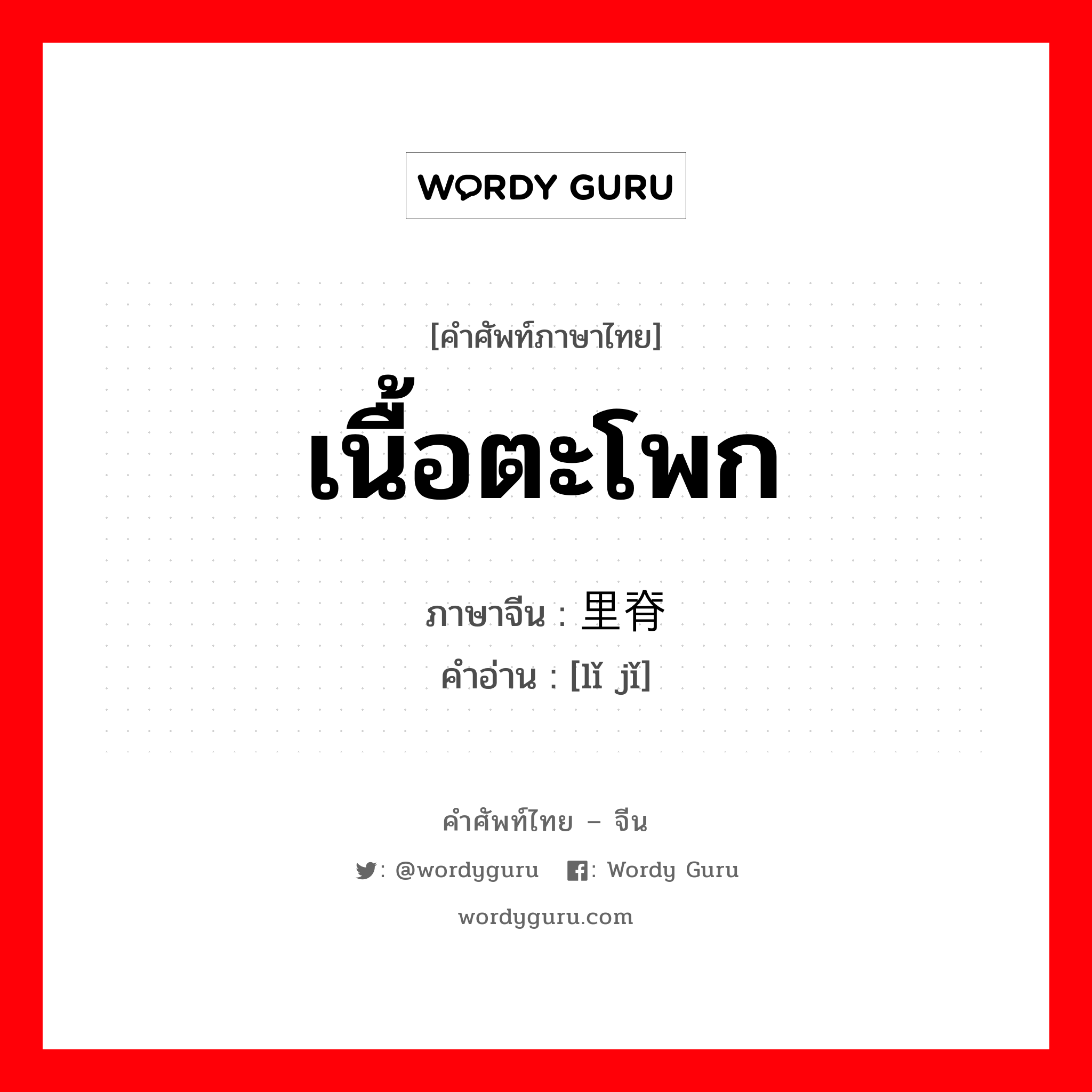 เนื้อตะโพก ภาษาจีนคืออะไร, คำศัพท์ภาษาไทย - จีน เนื้อตะโพก ภาษาจีน 里脊 คำอ่าน [lǐ jǐ]