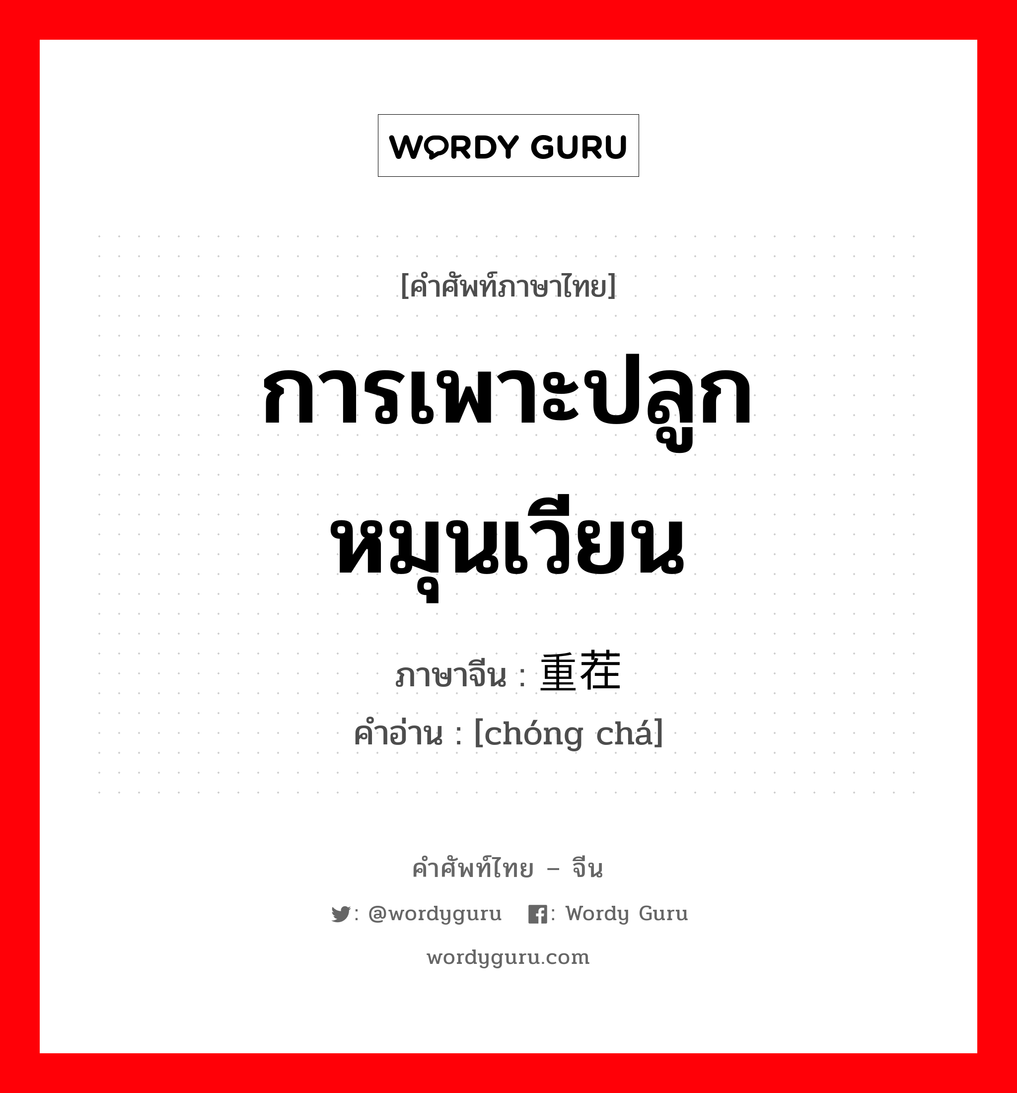 การเพาะปลูกหมุนเวียน ภาษาจีนคืออะไร, คำศัพท์ภาษาไทย - จีน การเพาะปลูกหมุนเวียน ภาษาจีน 重茬 คำอ่าน [chóng chá]