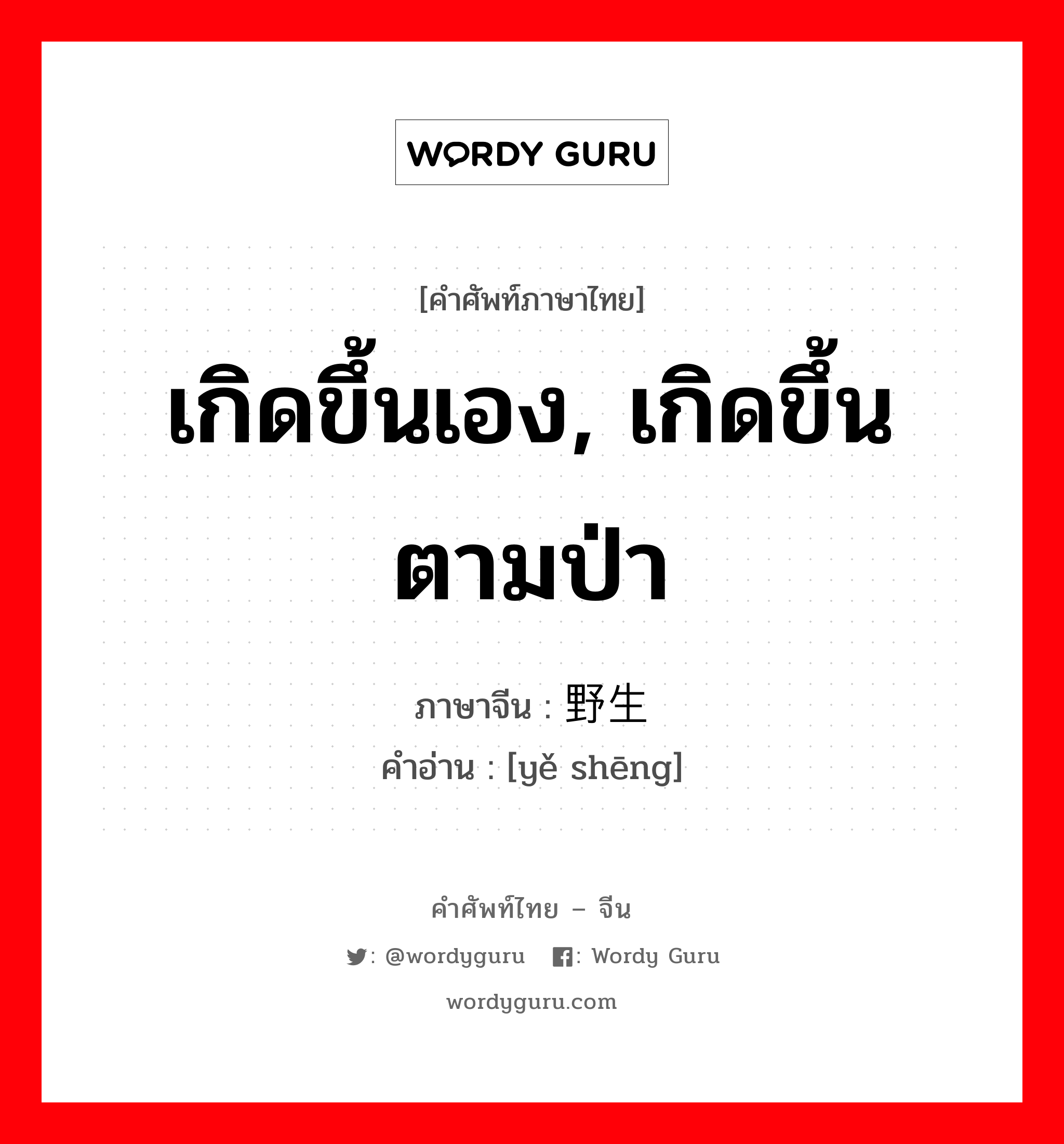 เกิดขึ้นเอง, เกิดขึ้นตามป่า ภาษาจีนคืออะไร, คำศัพท์ภาษาไทย - จีน เกิดขึ้นเอง, เกิดขึ้นตามป่า ภาษาจีน 野生 คำอ่าน [yě shēng]