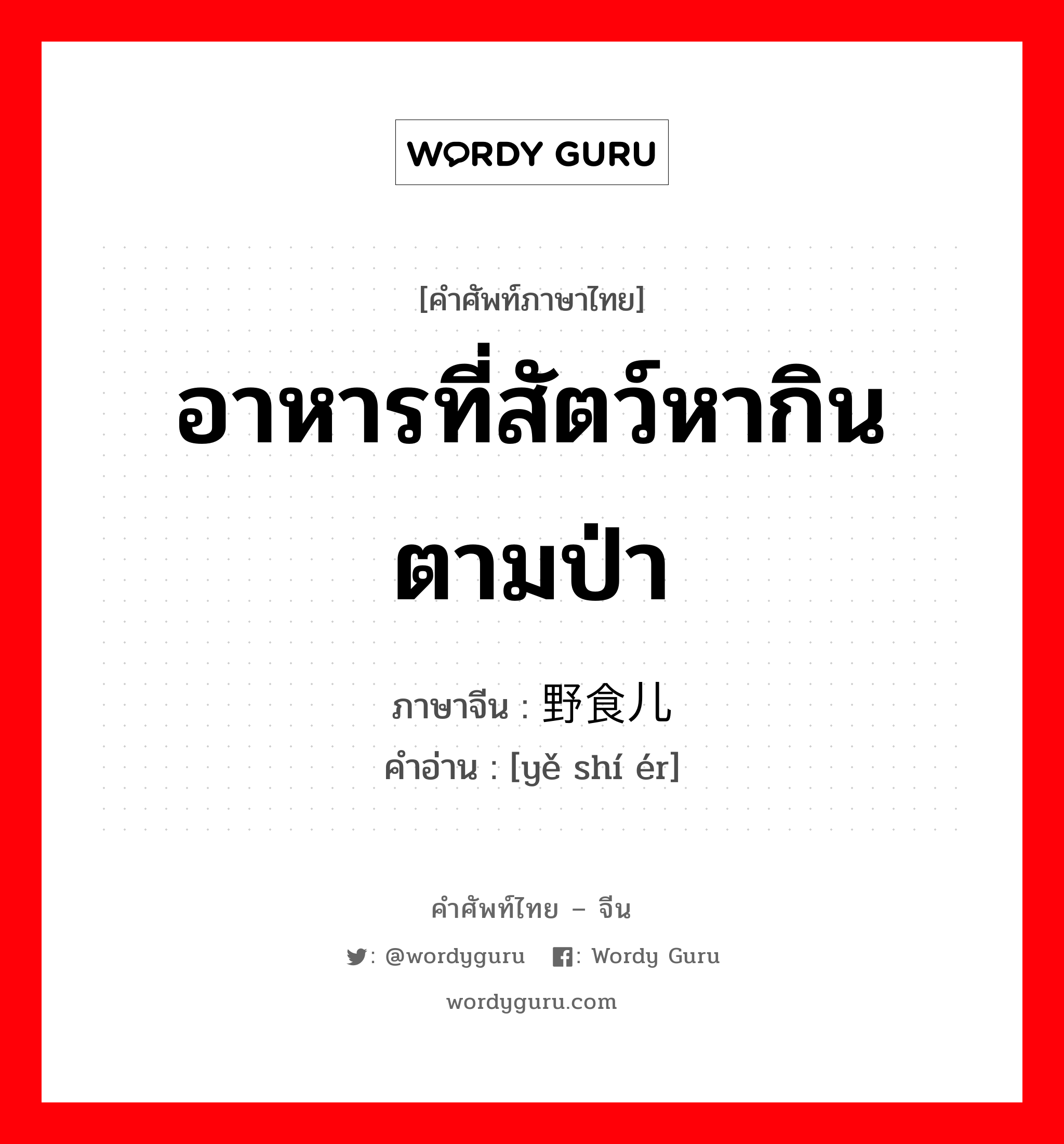 อาหารที่สัตว์หากินตามป่า ภาษาจีนคืออะไร, คำศัพท์ภาษาไทย - จีน อาหารที่สัตว์หากินตามป่า ภาษาจีน 野食儿 คำอ่าน [yě shí ér]