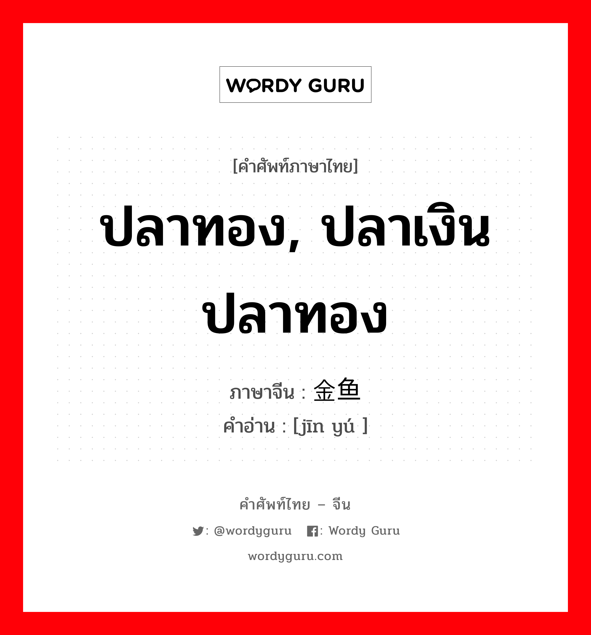 ปลาทอง, ปลาเงินปลาทอง ภาษาจีนคืออะไร, คำศัพท์ภาษาไทย - จีน ปลาทอง, ปลาเงินปลาทอง ภาษาจีน 金鱼 คำอ่าน [jīn yú ]