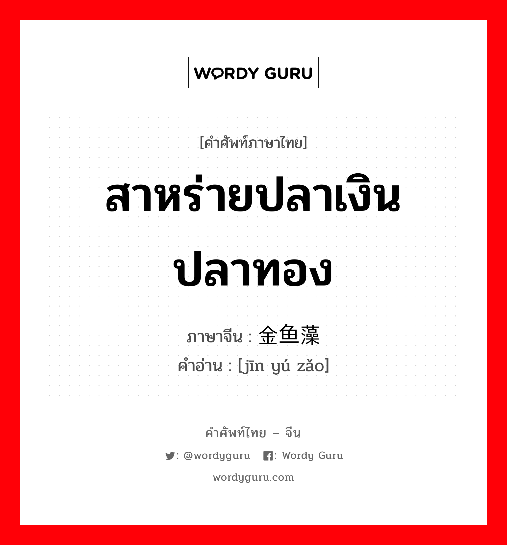 สาหร่ายปลาเงินปลาทอง ภาษาจีนคืออะไร, คำศัพท์ภาษาไทย - จีน สาหร่ายปลาเงินปลาทอง ภาษาจีน 金鱼藻 คำอ่าน [jīn yú zǎo]