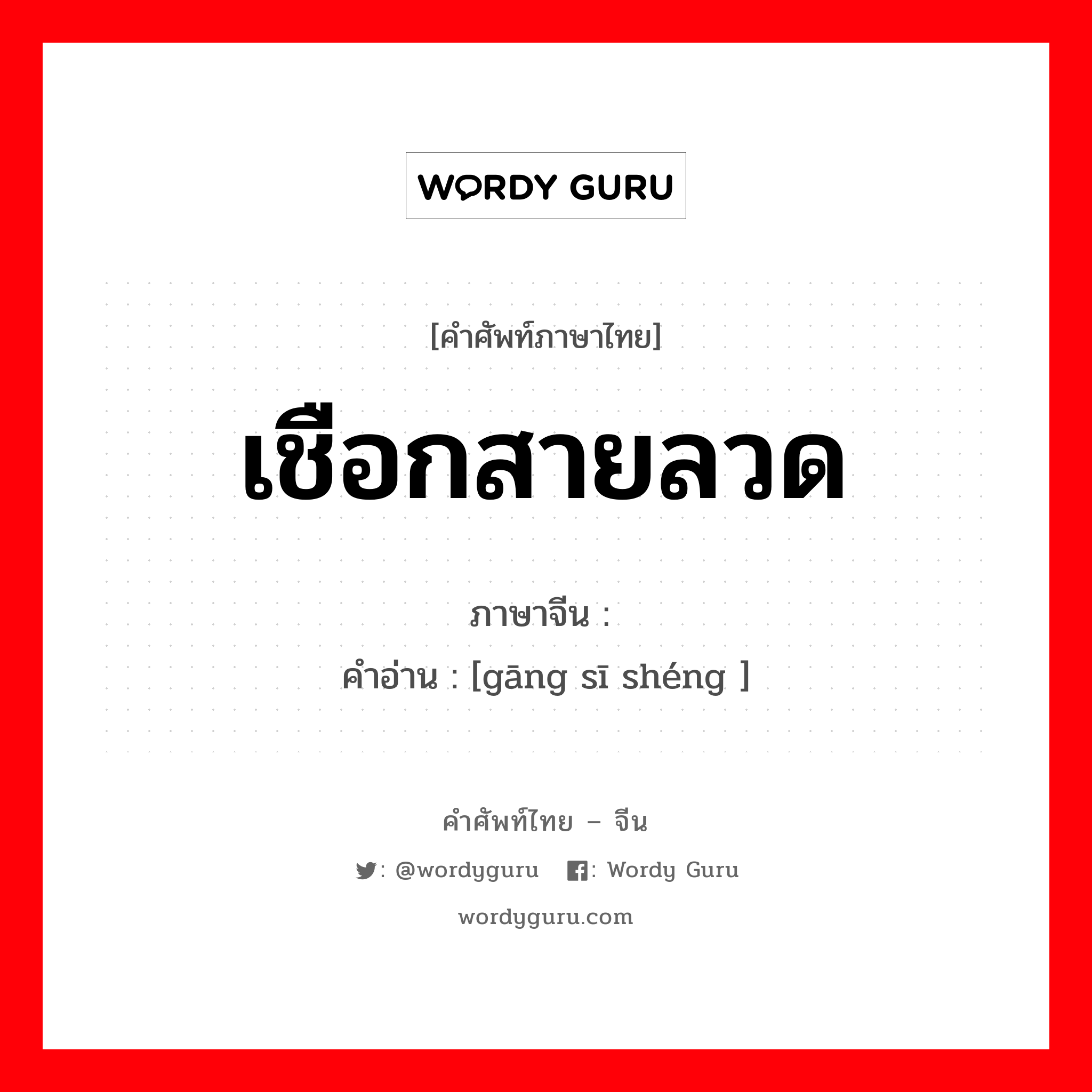 เชือกสายลวด ภาษาจีนคืออะไร, คำศัพท์ภาษาไทย - จีน เชือกสายลวด ภาษาจีน 钢丝绳 คำอ่าน [gāng sī shéng ]