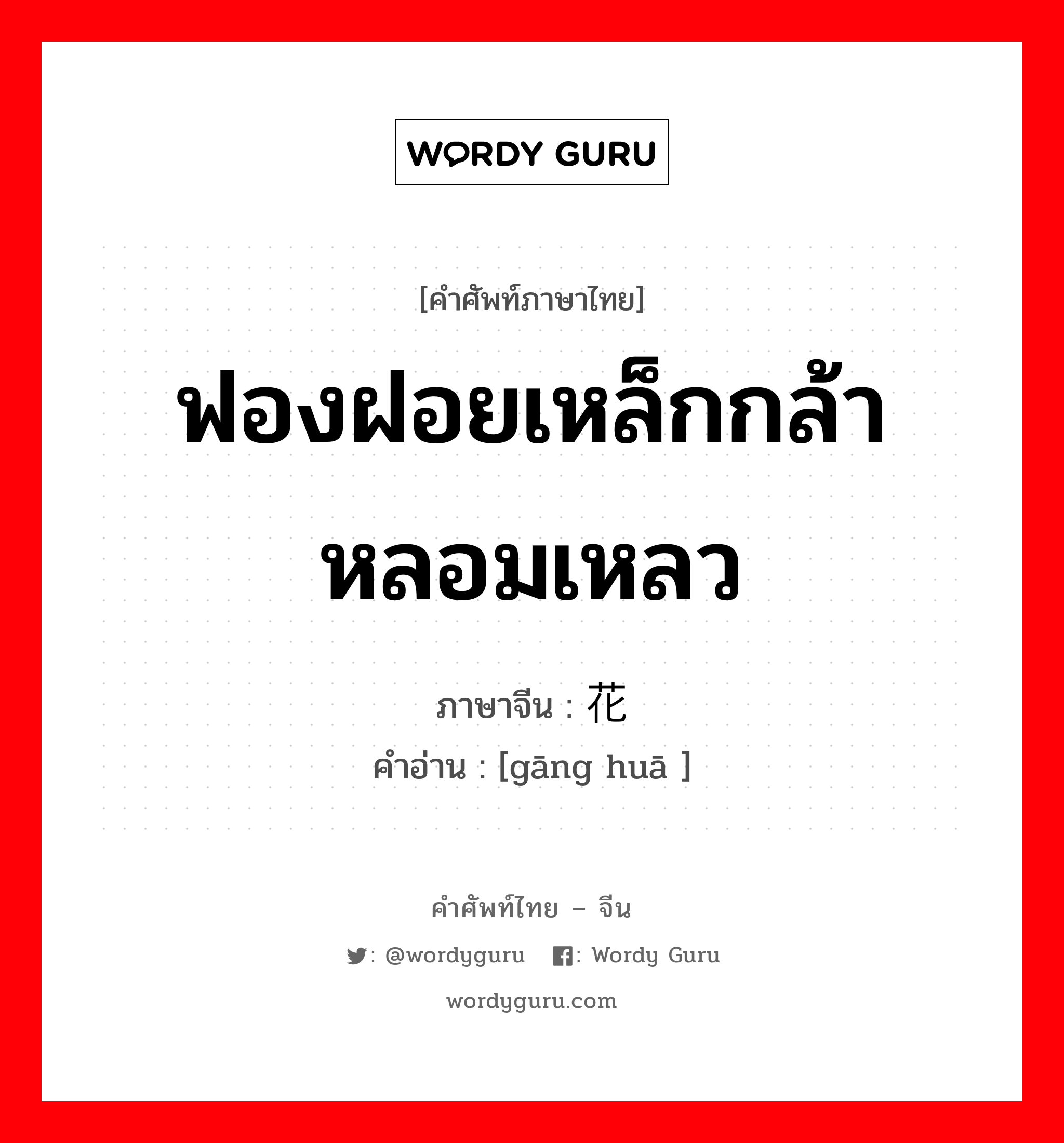 ฟองฝอยเหล็กกล้าหลอมเหลว ภาษาจีนคืออะไร, คำศัพท์ภาษาไทย - จีน ฟองฝอยเหล็กกล้าหลอมเหลว ภาษาจีน 钢花 คำอ่าน [gāng huā ]