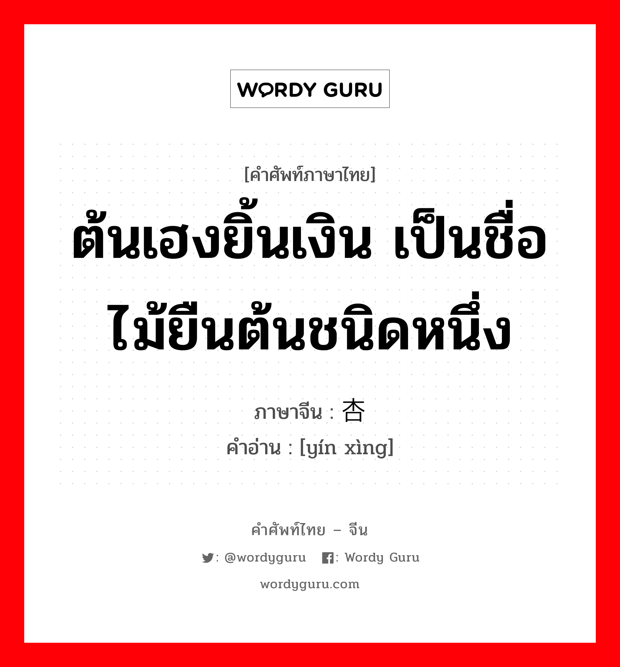 ต้นเฮงยิ้นเงิน เป็นชื่อไม้ยืนต้นชนิดหนึ่ง ภาษาจีนคืออะไร, คำศัพท์ภาษาไทย - จีน ต้นเฮงยิ้นเงิน เป็นชื่อไม้ยืนต้นชนิดหนึ่ง ภาษาจีน 银杏 คำอ่าน [yín xìng]