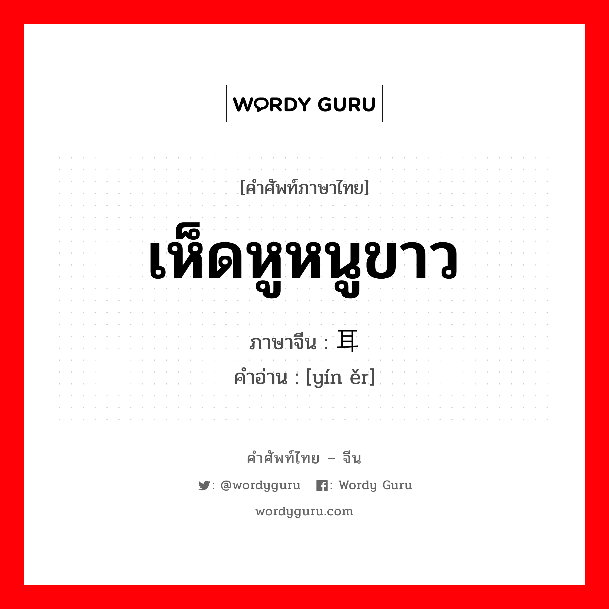 เห็ดหูหนูขาว ภาษาจีนคืออะไร, คำศัพท์ภาษาไทย - จีน เห็ดหูหนูขาว ภาษาจีน 银耳 คำอ่าน [yín ěr]