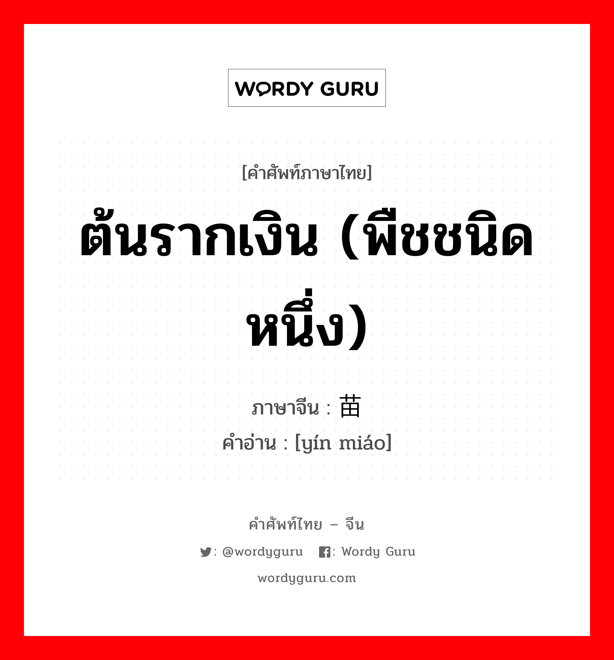 ต้นรากเงิน (พืชชนิดหนึ่ง) ภาษาจีนคืออะไร, คำศัพท์ภาษาไทย - จีน ต้นรากเงิน (พืชชนิดหนึ่ง) ภาษาจีน 银苗 คำอ่าน [yín miáo]