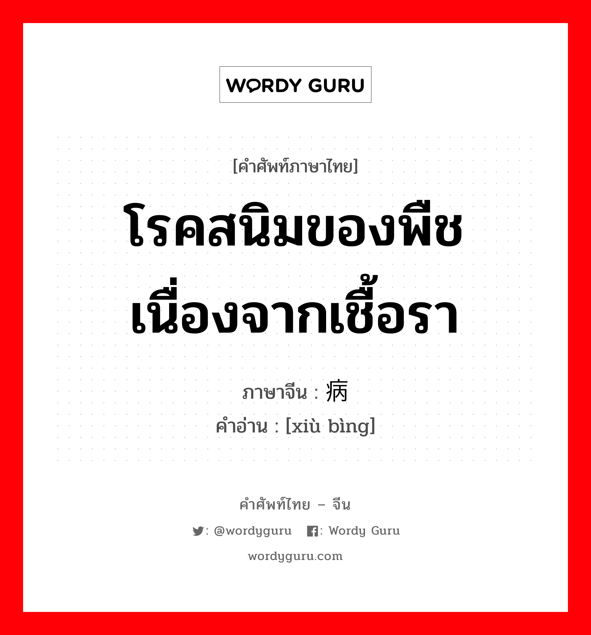 โรคสนิมของพืชเนื่องจากเชื้อรา ภาษาจีนคืออะไร, คำศัพท์ภาษาไทย - จีน โรคสนิมของพืชเนื่องจากเชื้อรา ภาษาจีน 锈病 คำอ่าน [xiù bìng]