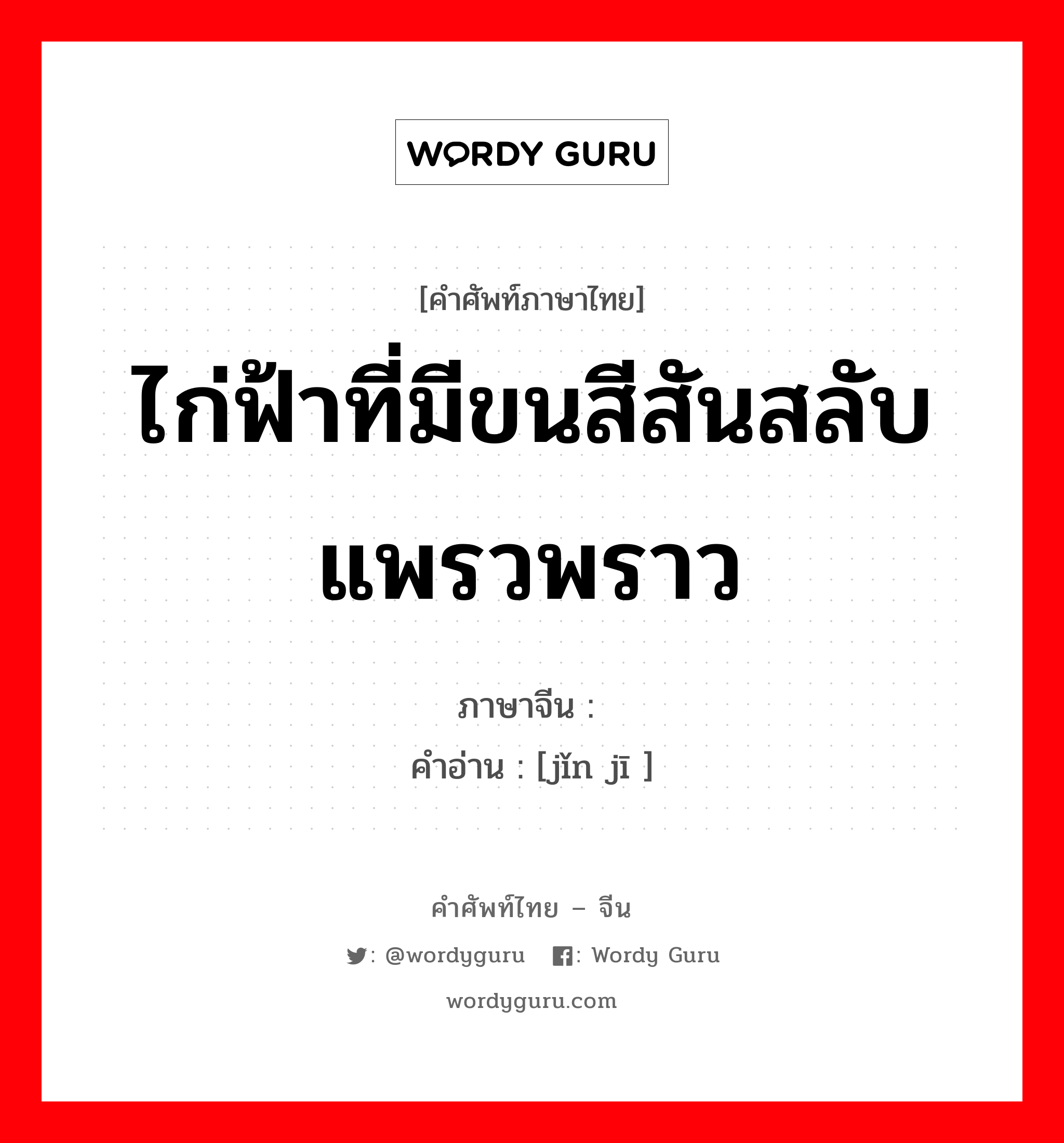 ไก่ฟ้าที่มีขนสีสันสลับแพรวพราว ภาษาจีนคืออะไร, คำศัพท์ภาษาไทย - จีน ไก่ฟ้าที่มีขนสีสันสลับแพรวพราว ภาษาจีน 锦鸡 คำอ่าน [jǐn jī ]