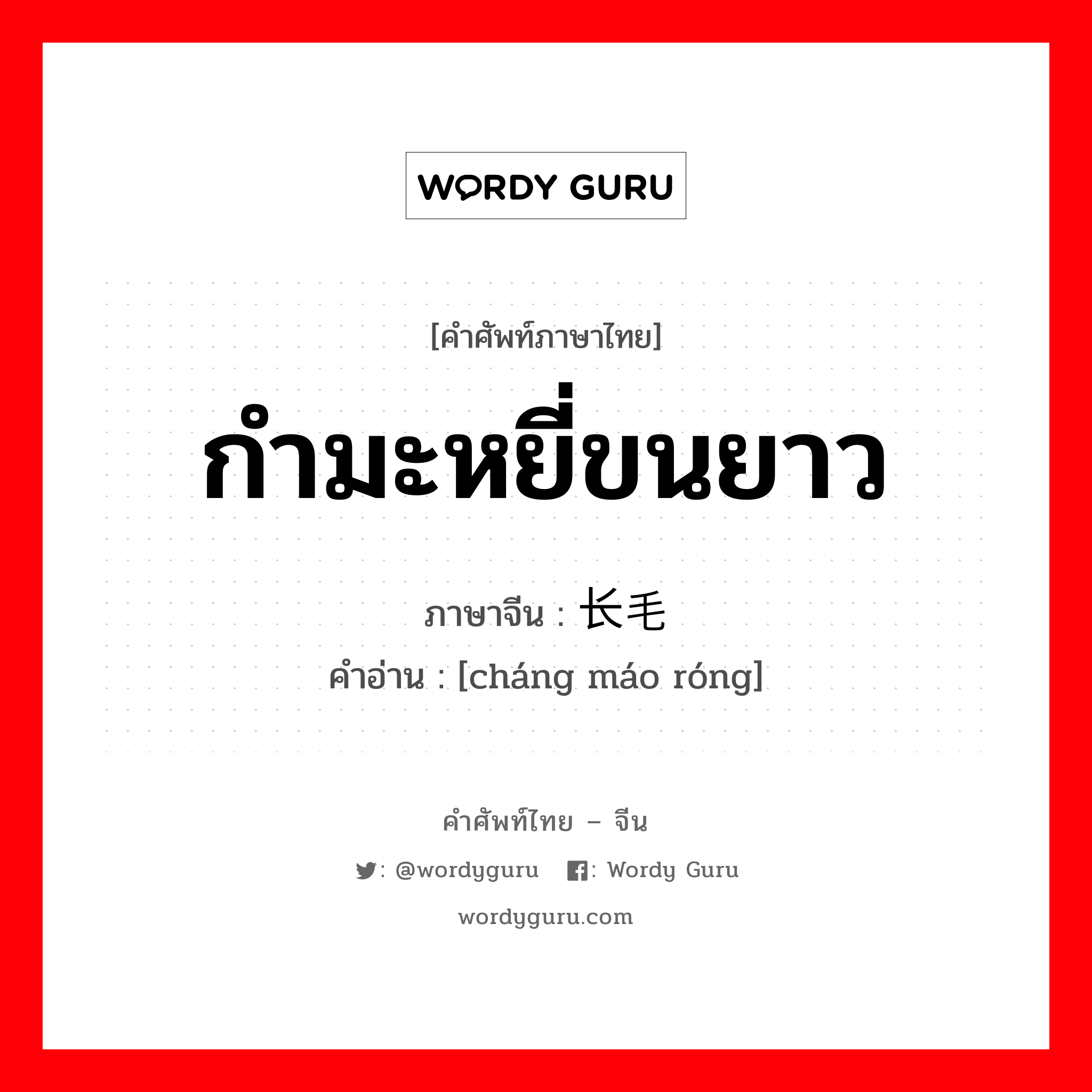 กำมะหยี่ขนยาว ภาษาจีนคืออะไร, คำศัพท์ภาษาไทย - จีน กำมะหยี่ขนยาว ภาษาจีน 长毛绒 คำอ่าน [cháng máo róng]