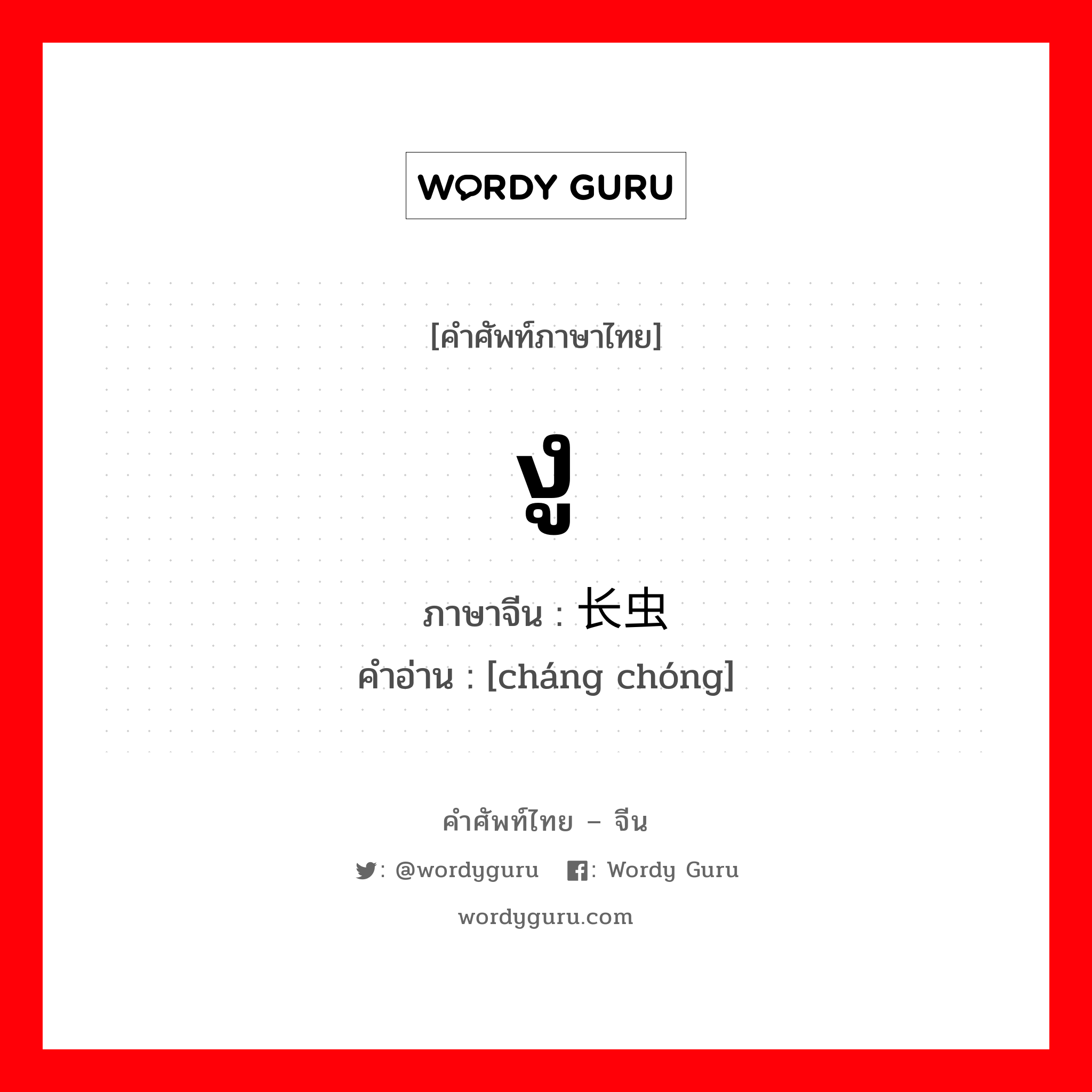 งู ภาษาจีนคืออะไร, คำศัพท์ภาษาไทย - จีน งู ภาษาจีน 长虫 คำอ่าน [cháng chóng]