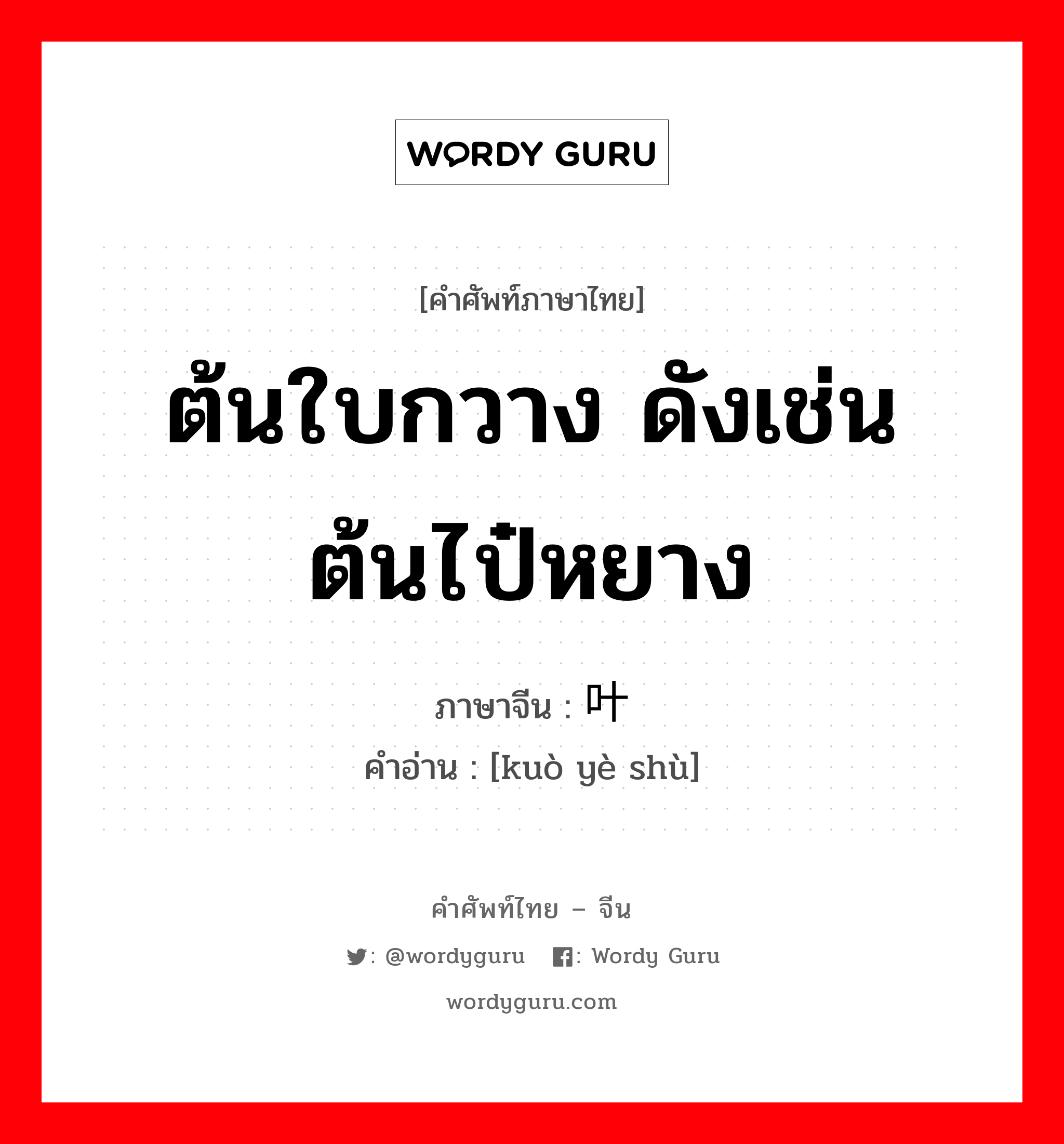 ต้นใบกวาง ดังเช่น ต้นไป๋หยาง ภาษาจีนคืออะไร, คำศัพท์ภาษาไทย - จีน ต้นใบกวาง ดังเช่น ต้นไป๋หยาง ภาษาจีน 阔叶树 คำอ่าน [kuò yè shù]