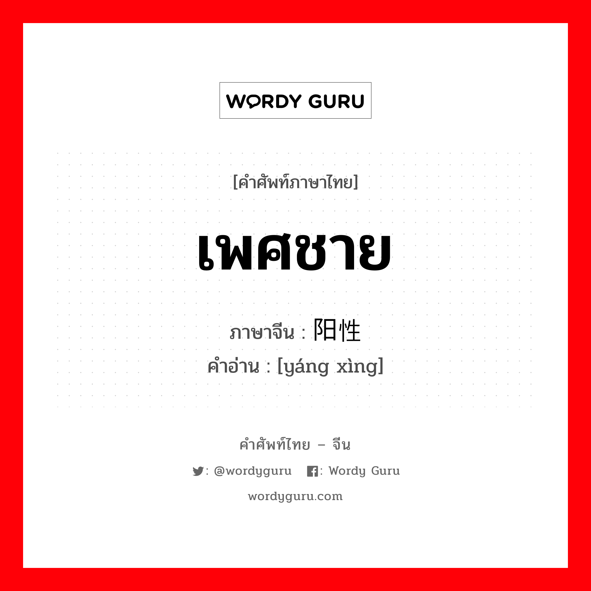 เพศชาย ภาษาจีนคืออะไร, คำศัพท์ภาษาไทย - จีน เพศชาย ภาษาจีน 阳性 คำอ่าน [yáng xìng]