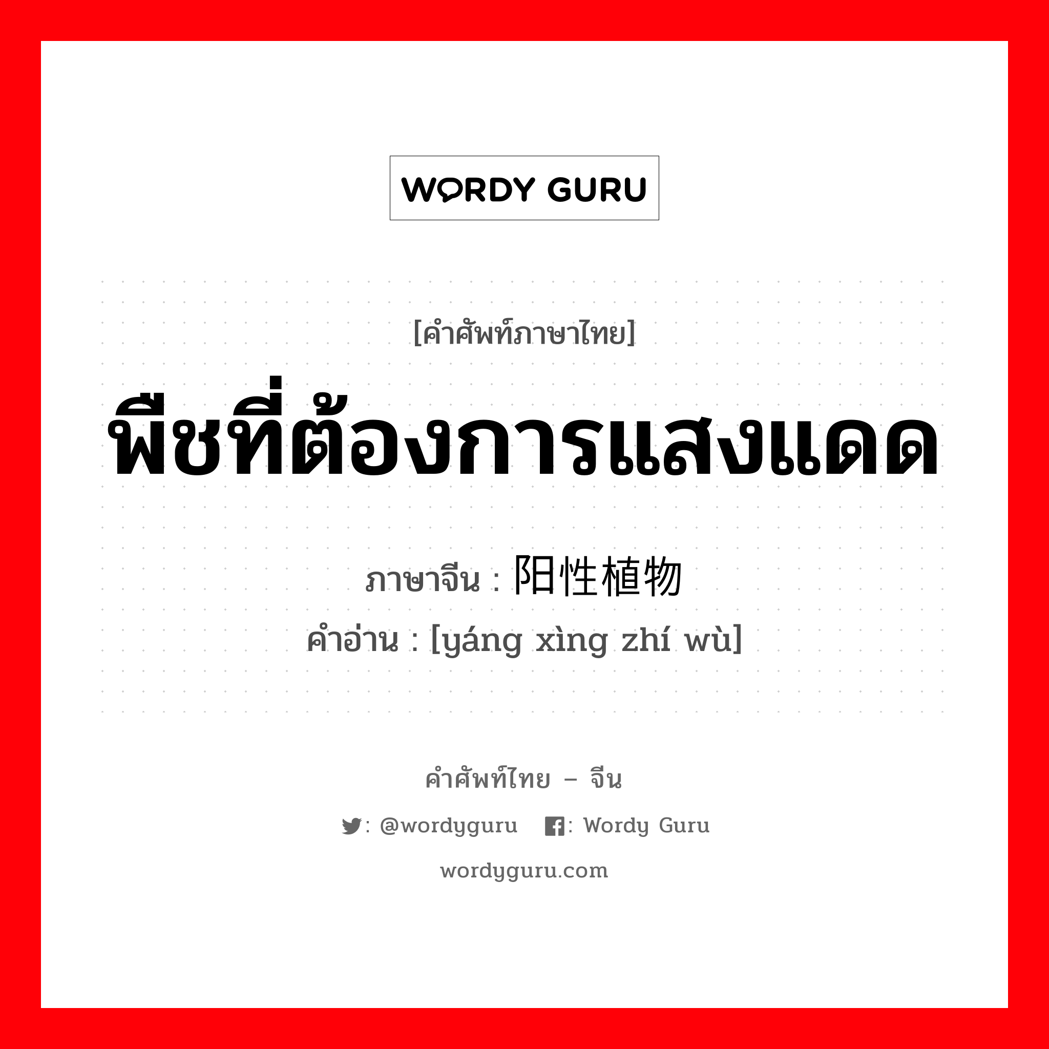 พืชที่ต้องการแสงแดด ภาษาจีนคืออะไร, คำศัพท์ภาษาไทย - จีน พืชที่ต้องการแสงแดด ภาษาจีน 阳性植物 คำอ่าน [yáng xìng zhí wù]