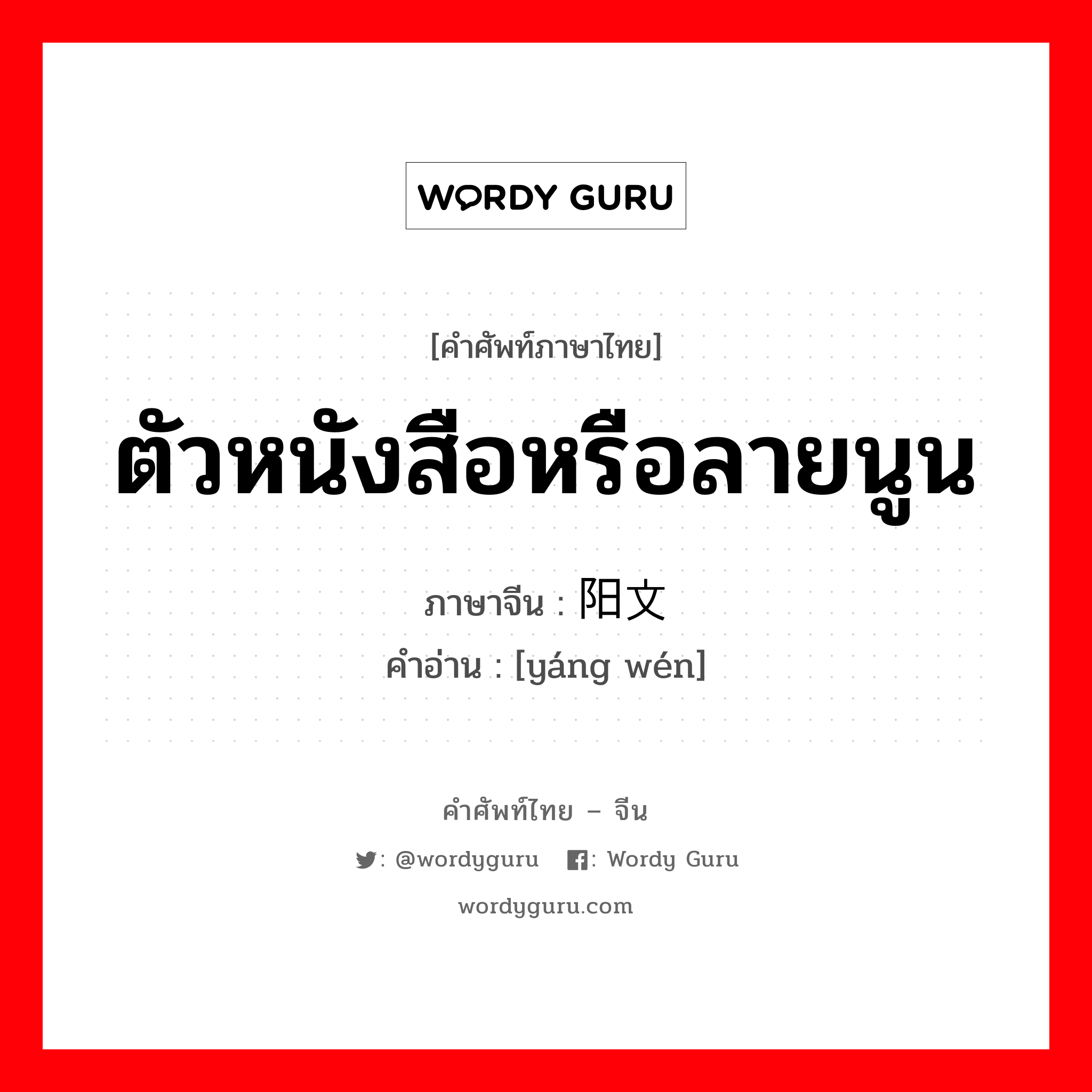 ตัวหนังสือหรือลายนูน ภาษาจีนคืออะไร, คำศัพท์ภาษาไทย - จีน ตัวหนังสือหรือลายนูน ภาษาจีน 阳文 คำอ่าน [yáng wén]