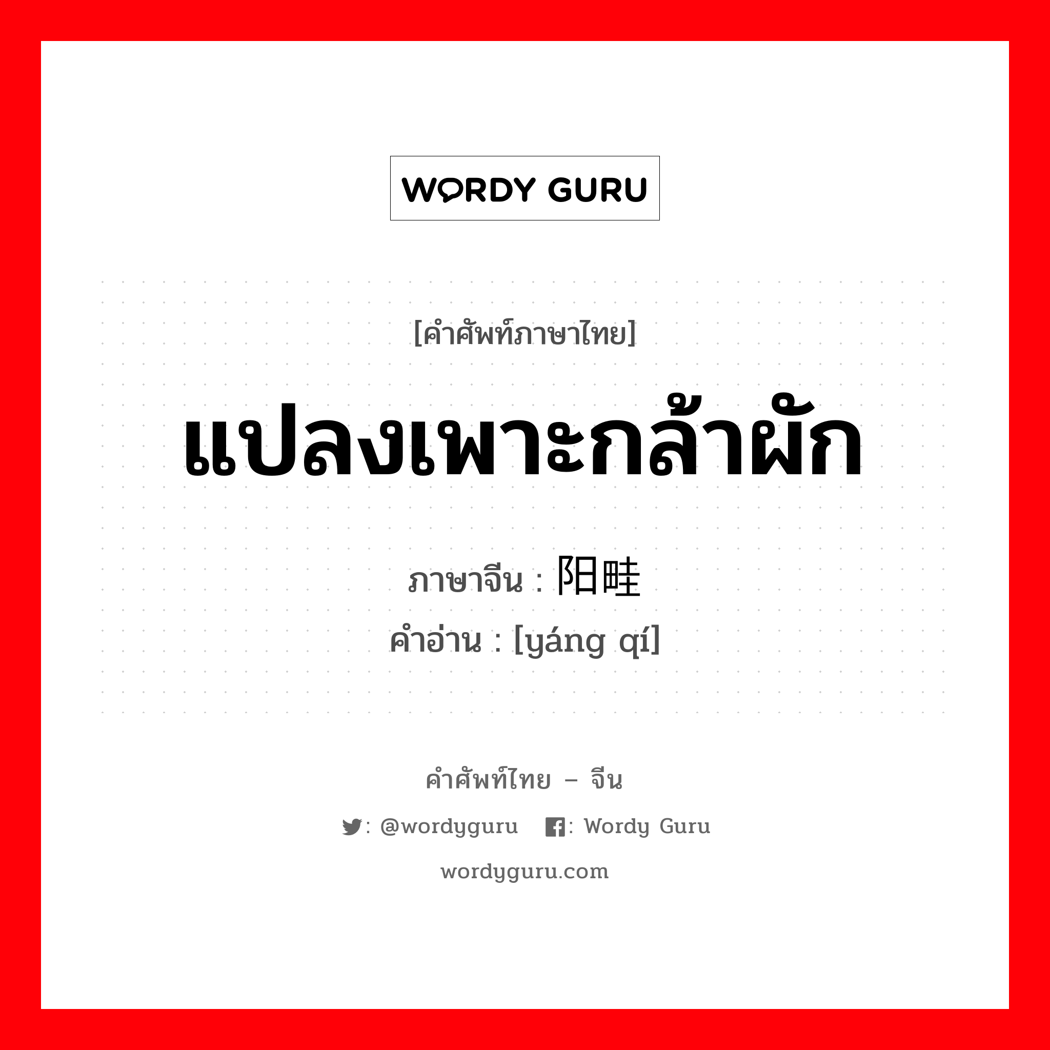 แปลงเพาะกล้าผัก ภาษาจีนคืออะไร, คำศัพท์ภาษาไทย - จีน แปลงเพาะกล้าผัก ภาษาจีน 阳畦 คำอ่าน [yáng qí]